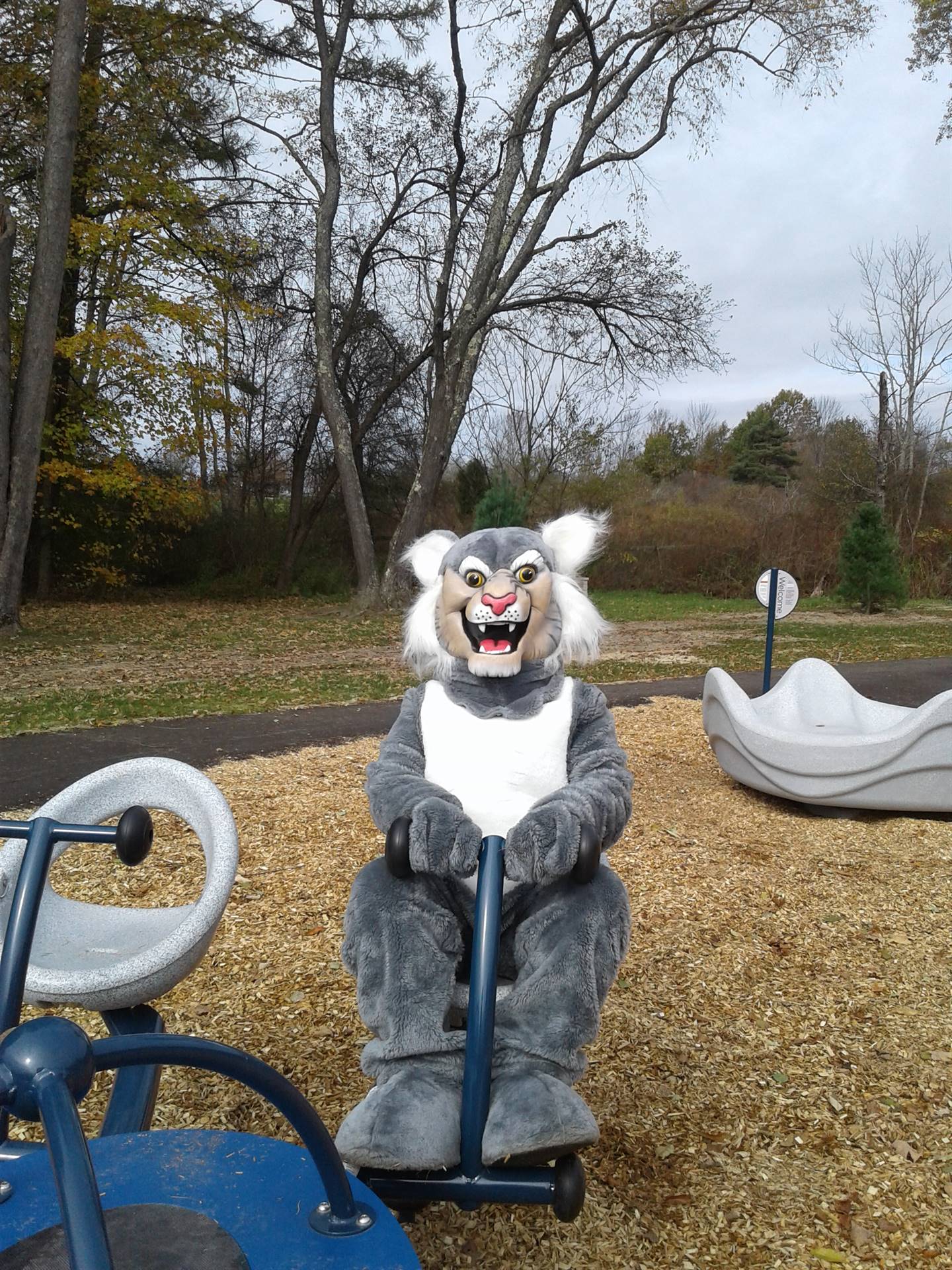 Felix on the teeter totter. 