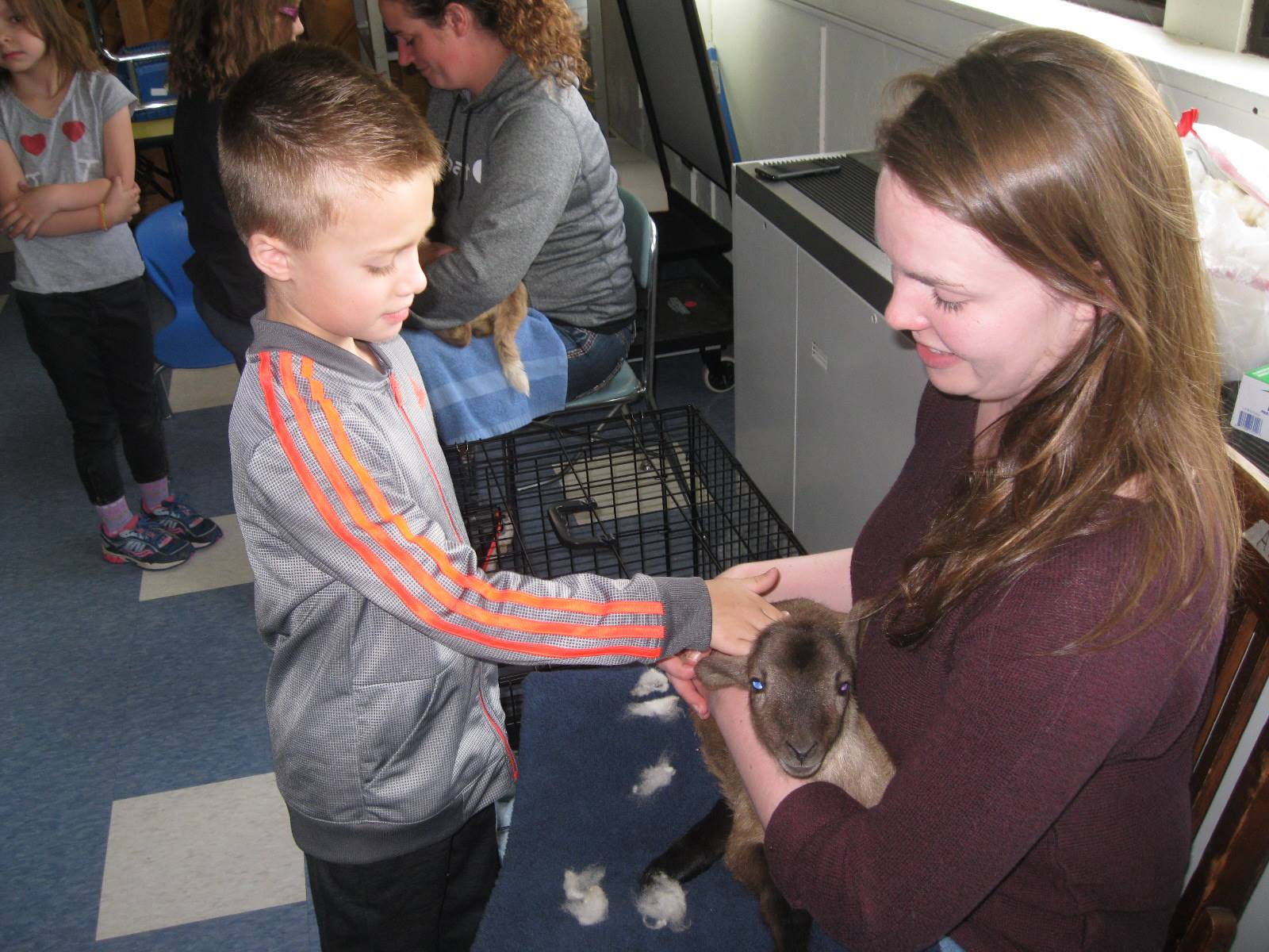 student petting lamb.