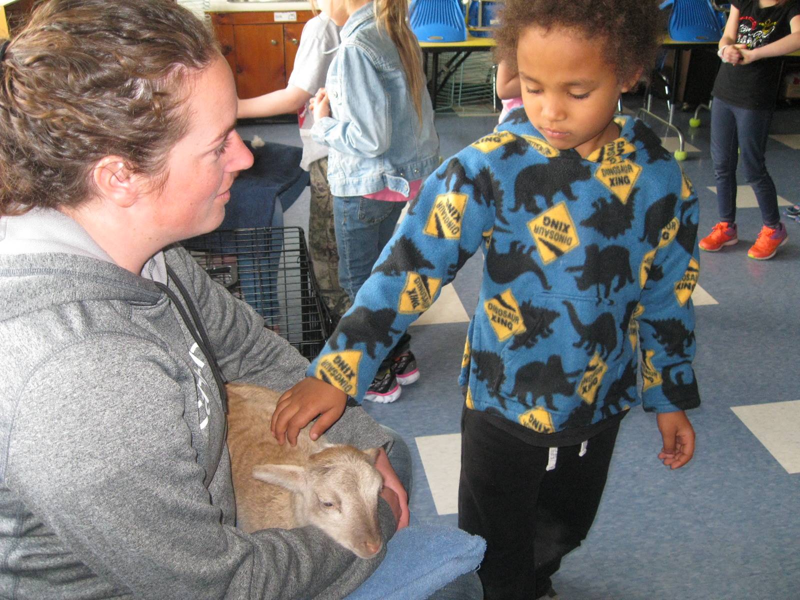 student pets a lamb.