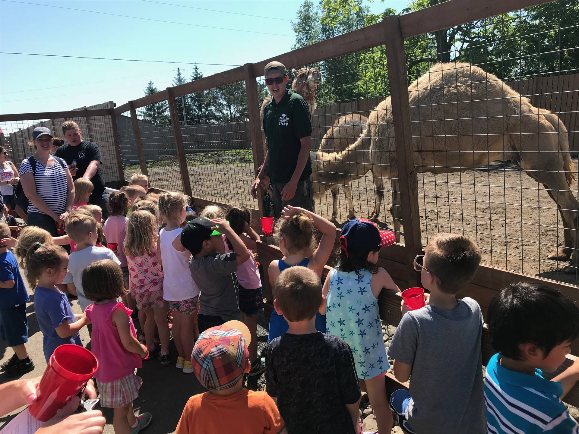 students enjoy looking at animals