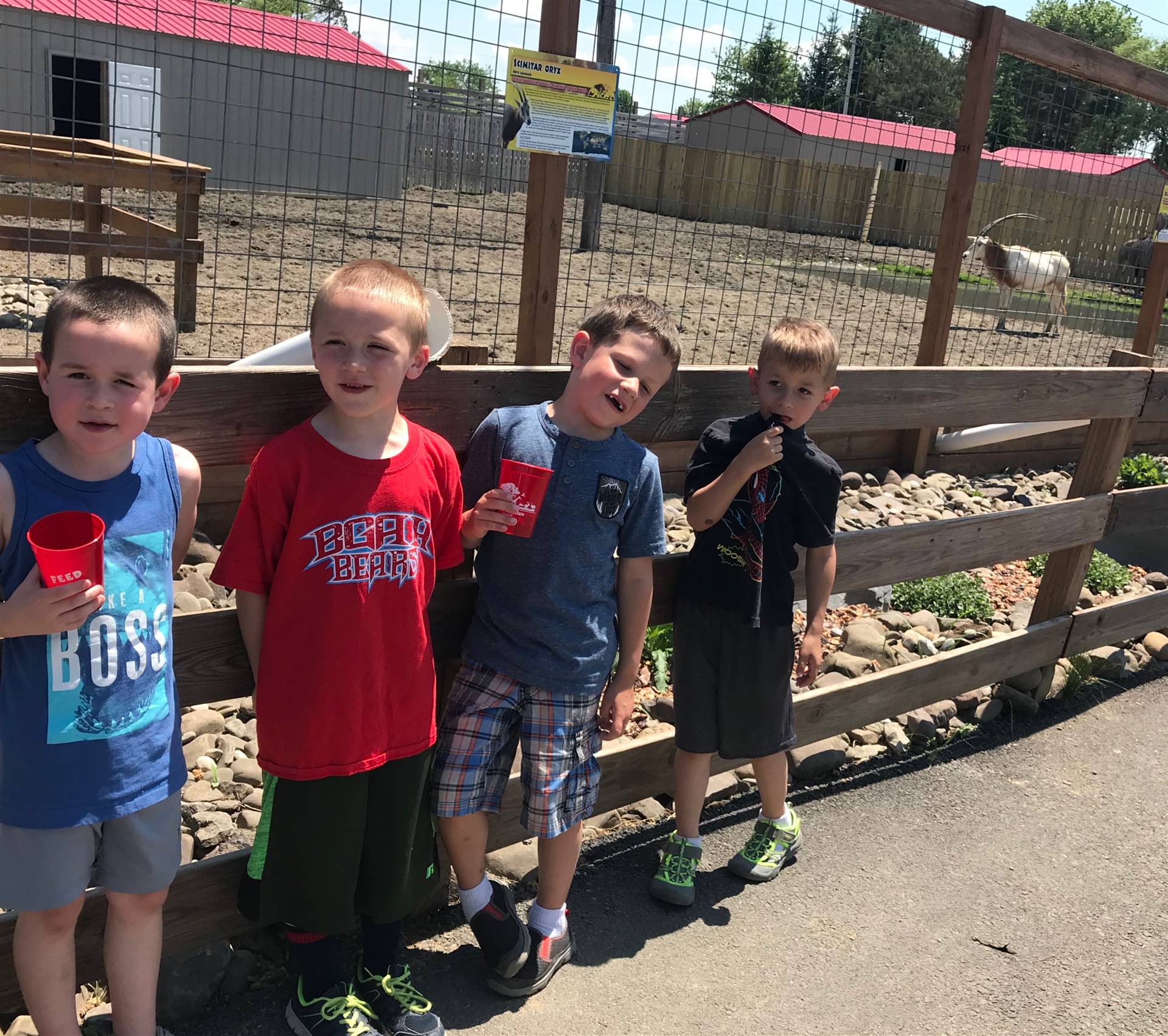 Kindergartners at Animal Adventure