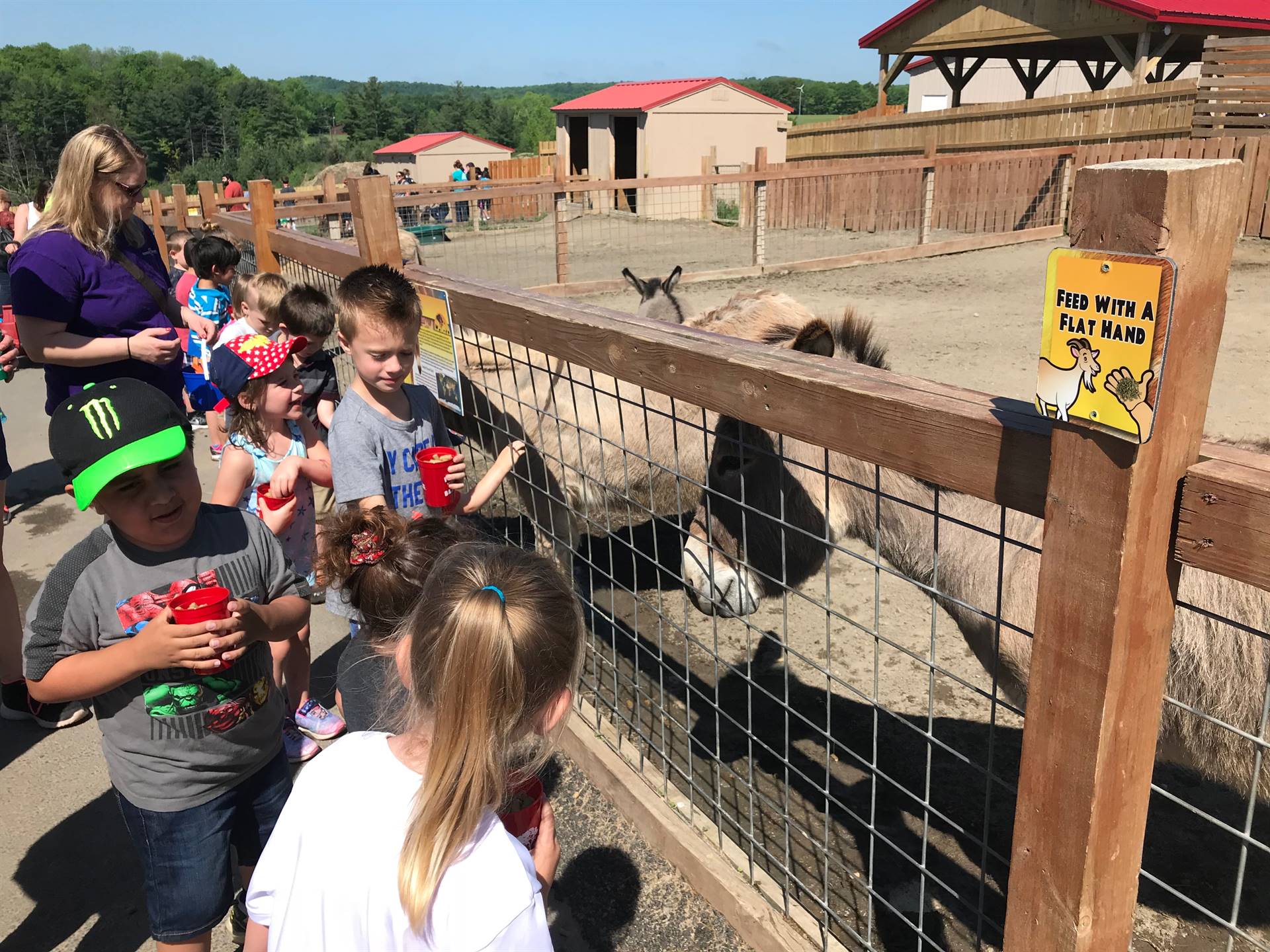 students feeding animals at Animal Adventure