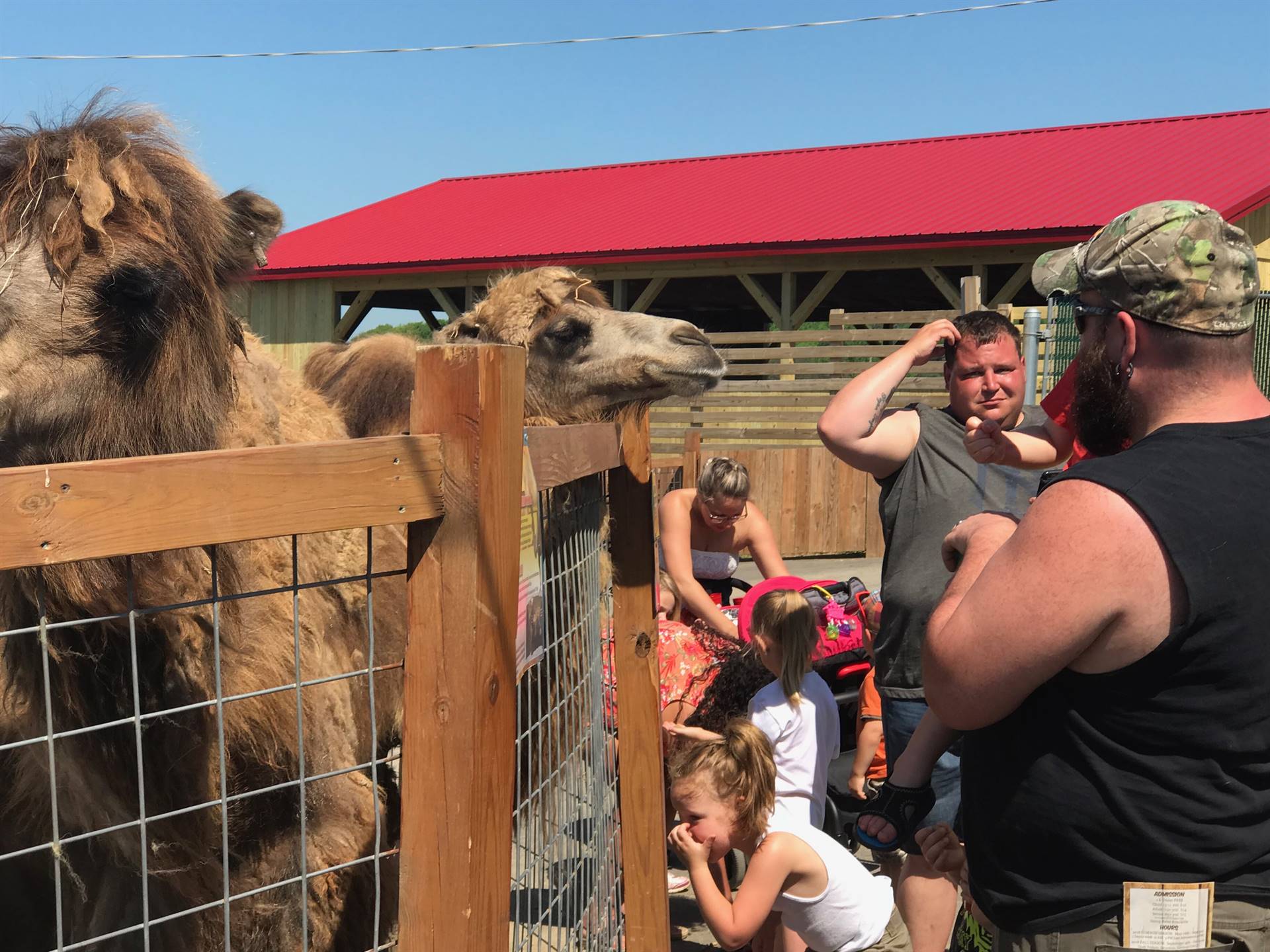 students feeding animals at Animal Adventure