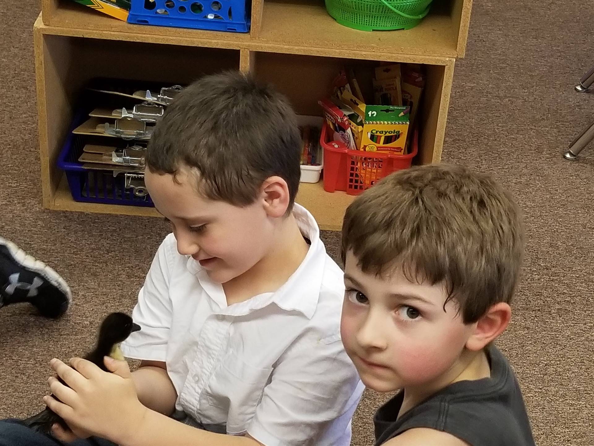 2 students hold and look at a duckling