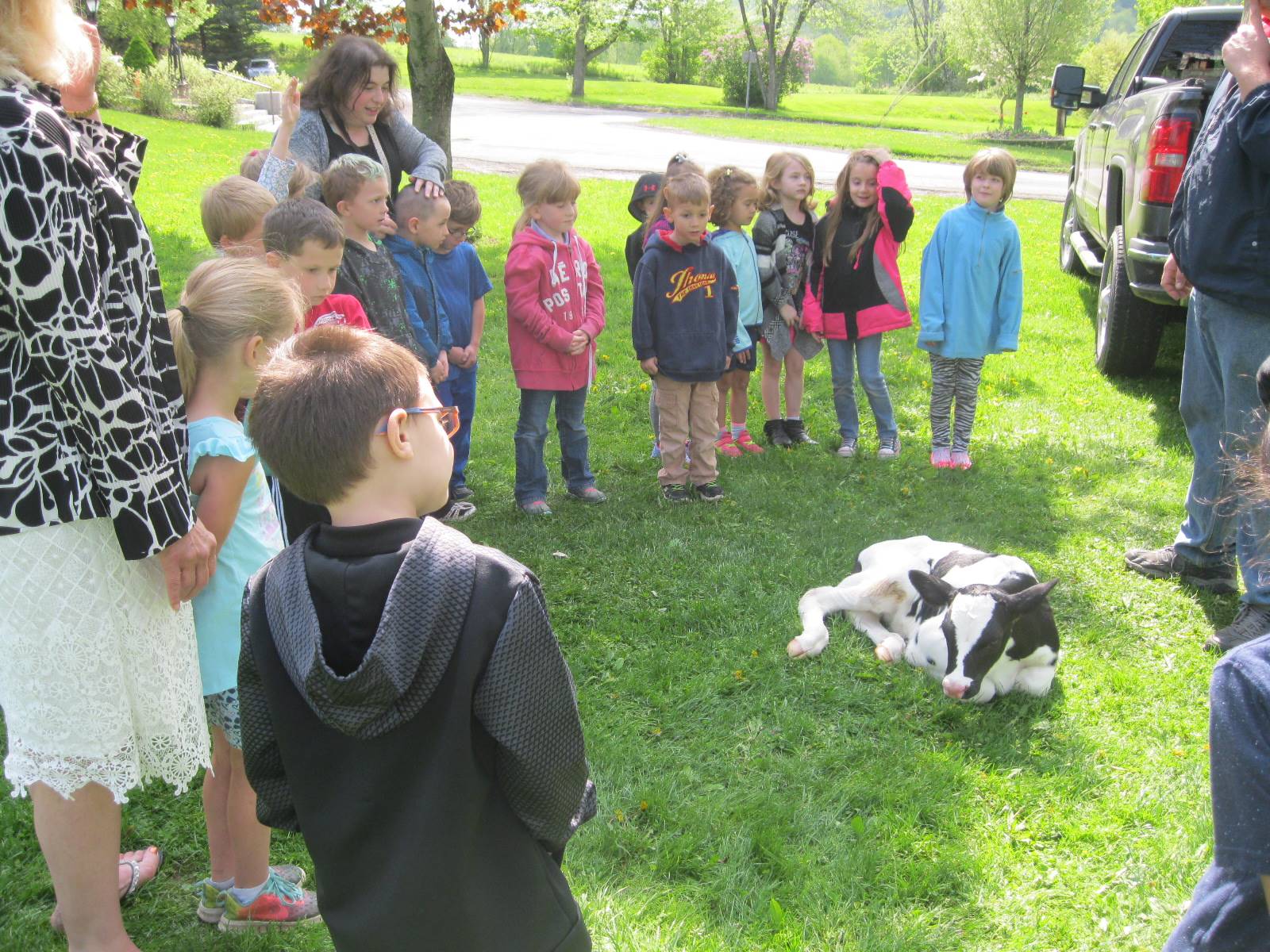 A group of students observe a 2 day old calf