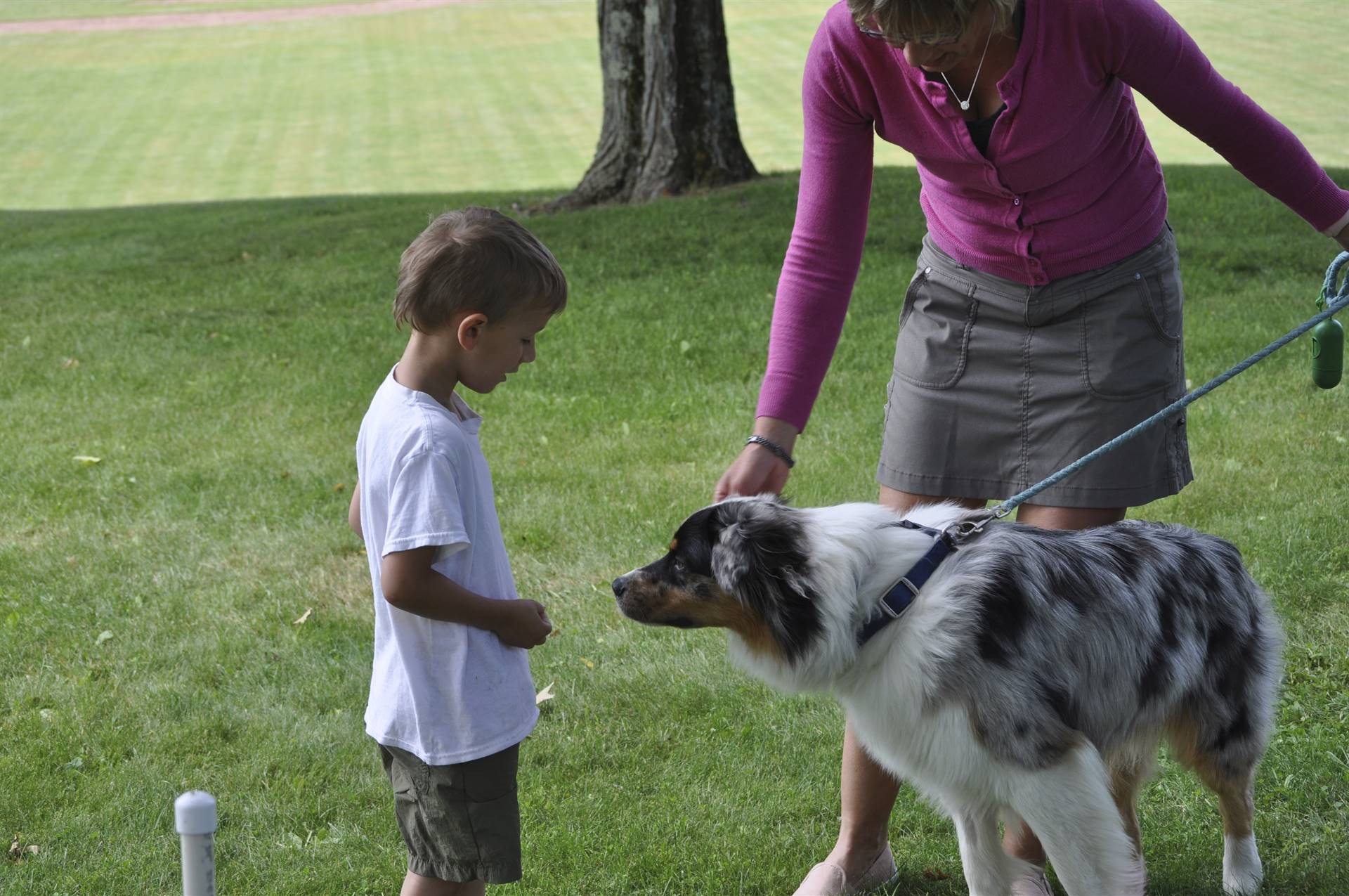A student gives a therapy dog a treat!