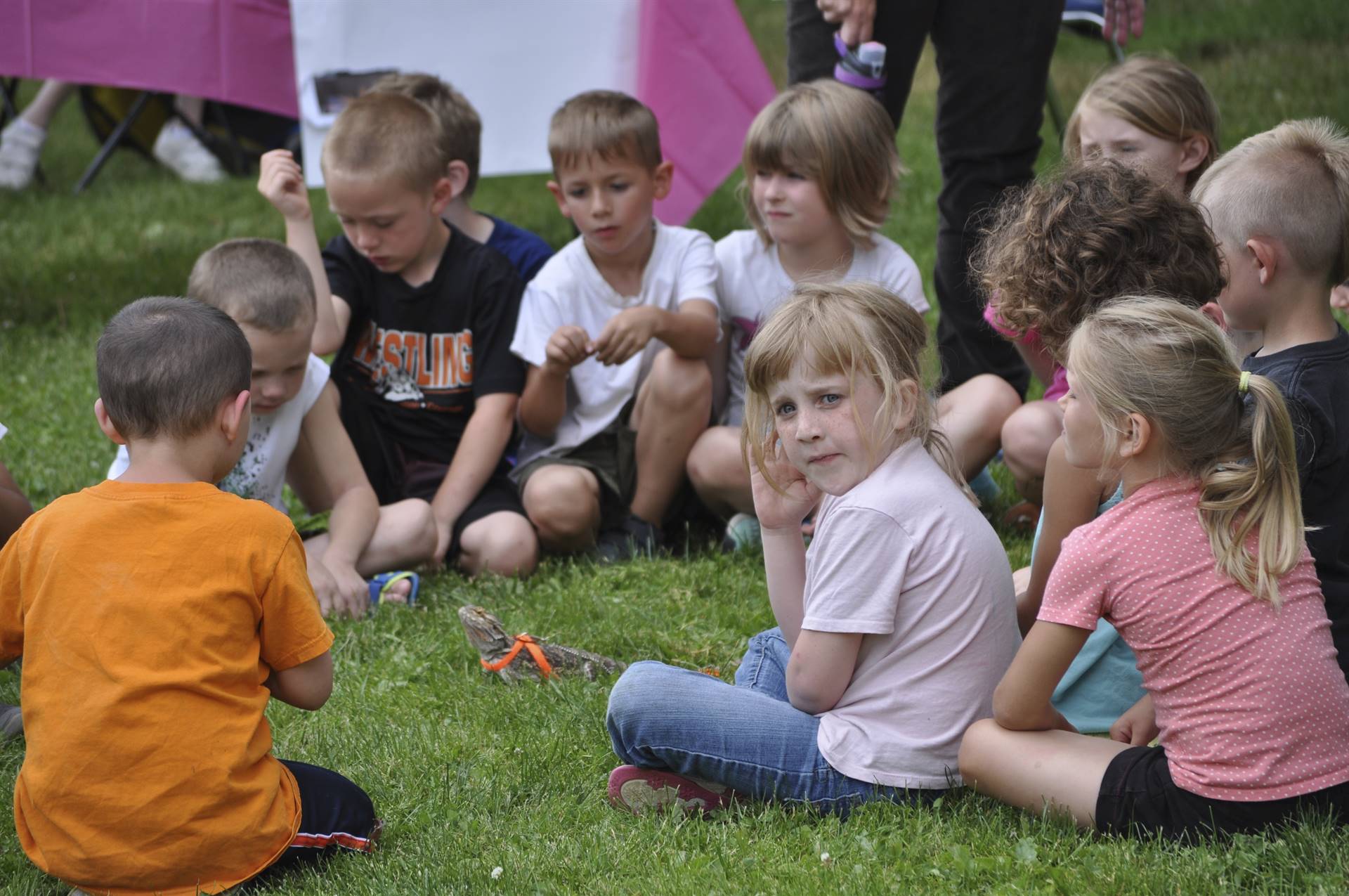 Students watch a lizard at the "creature feature". 