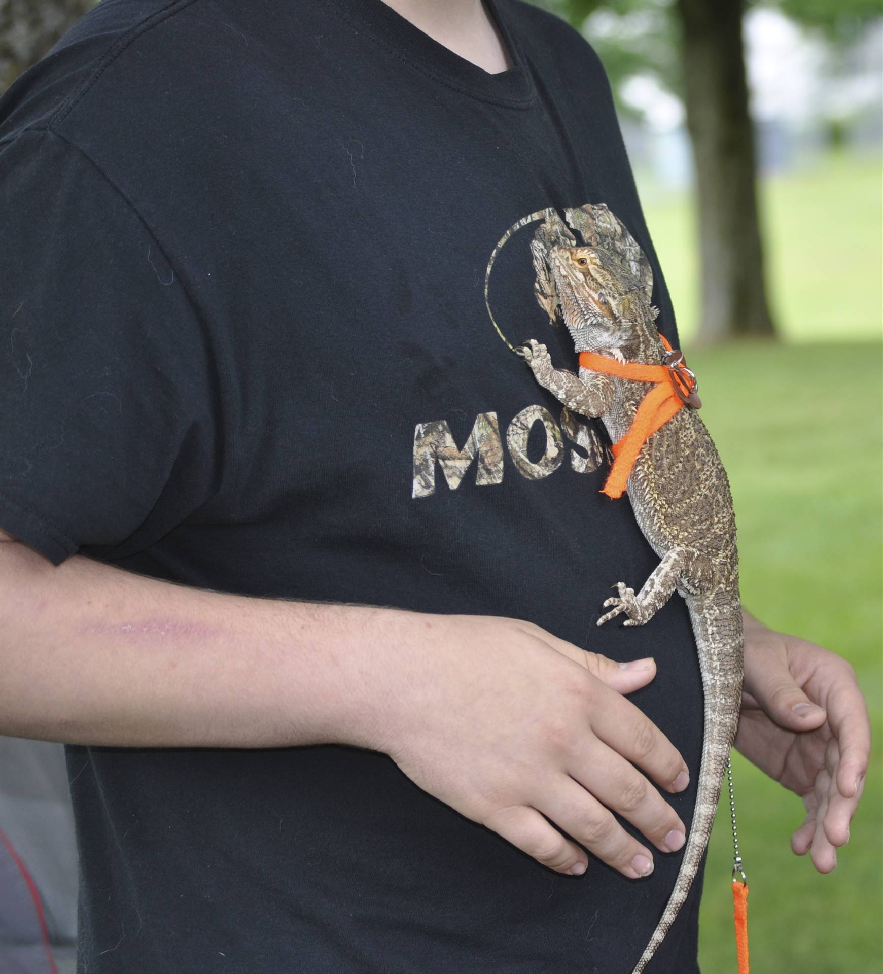 A lizard crawls up a shirt at the creature feature campout.