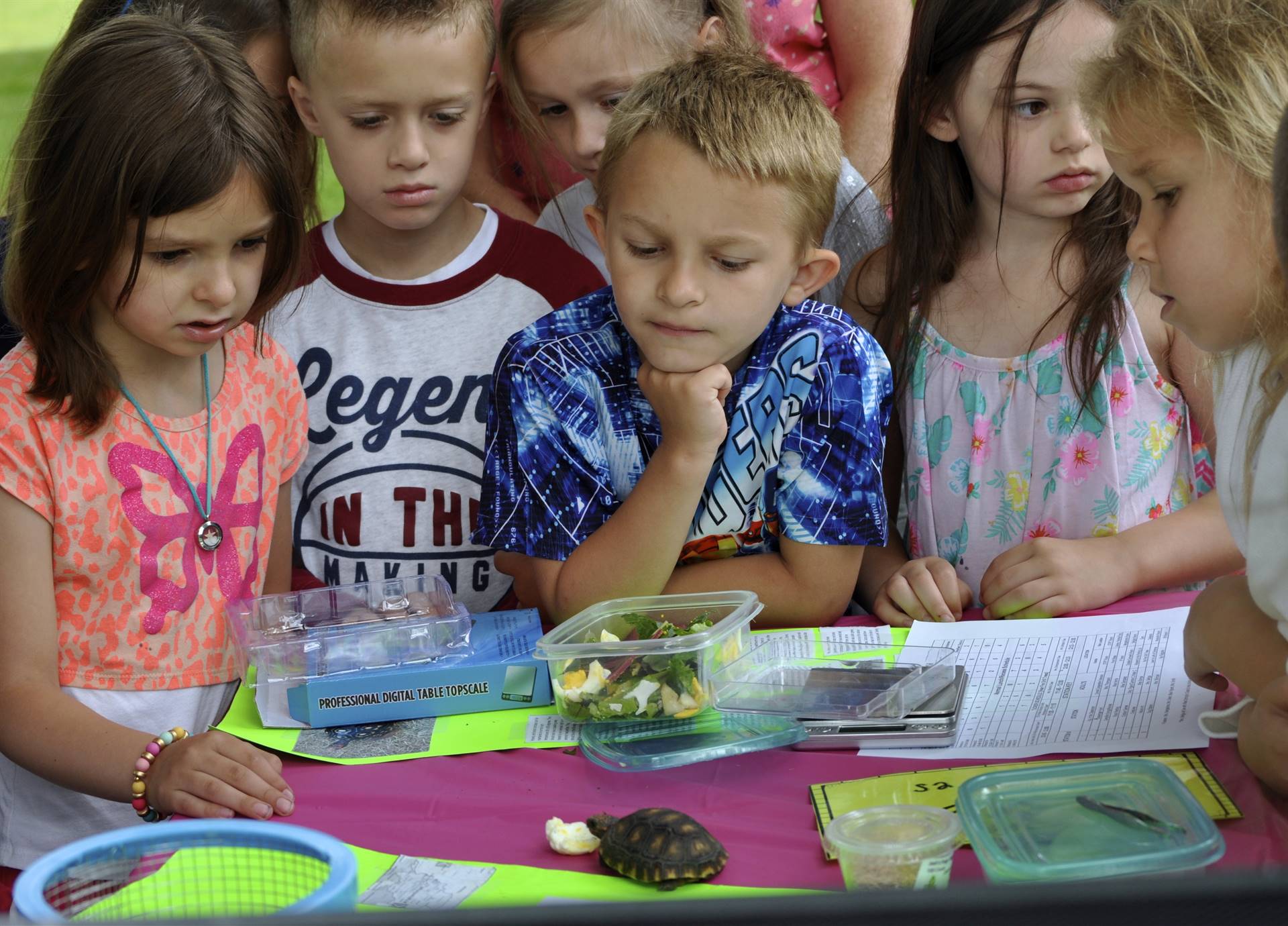 Students observing a turtle eating.