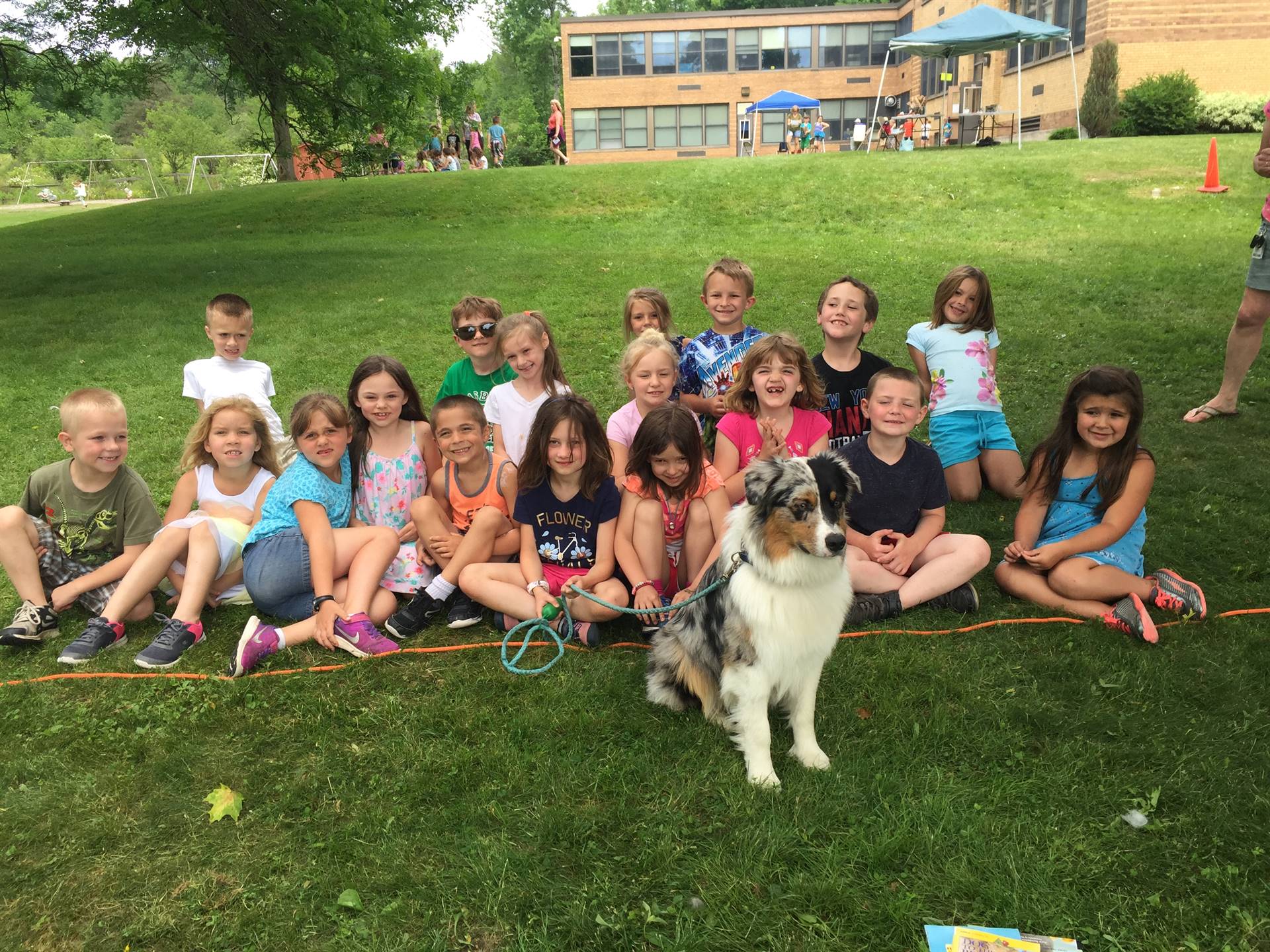 Tucker the therapy dog joins in camping fun with guilford students.