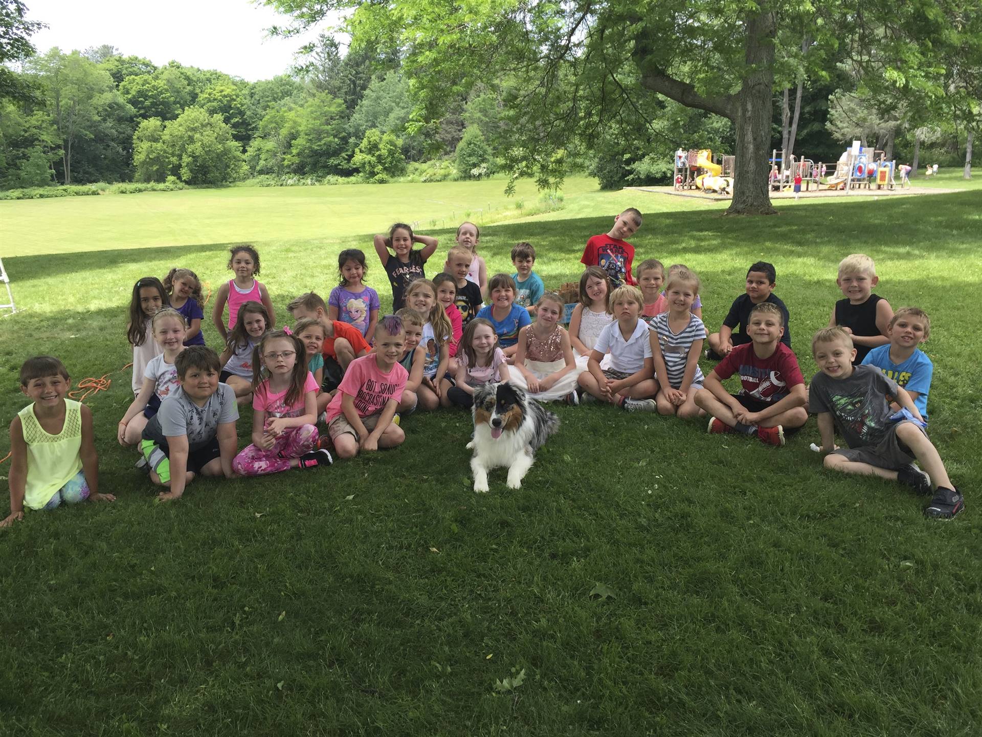 Tucker the therapy dog joins in camping fun with guilford students.