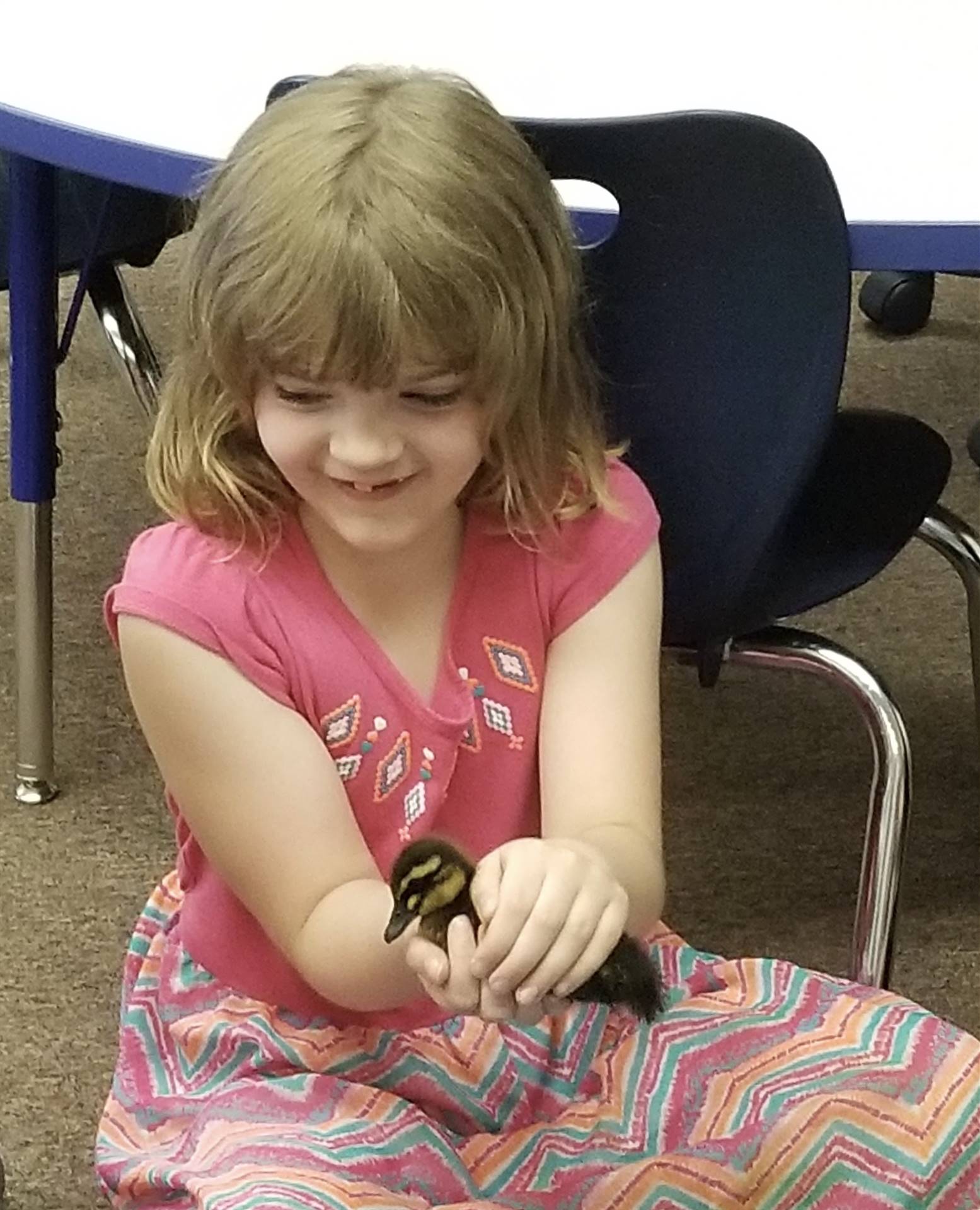 first grader holds a duckling.