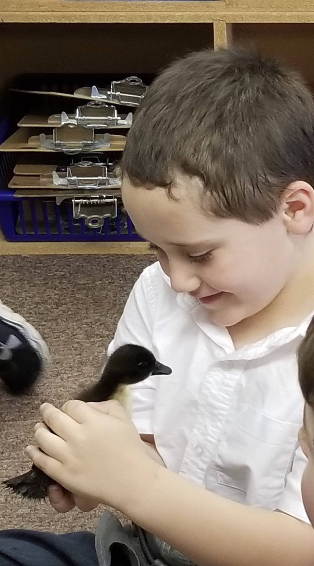 first grader holds a duckling.