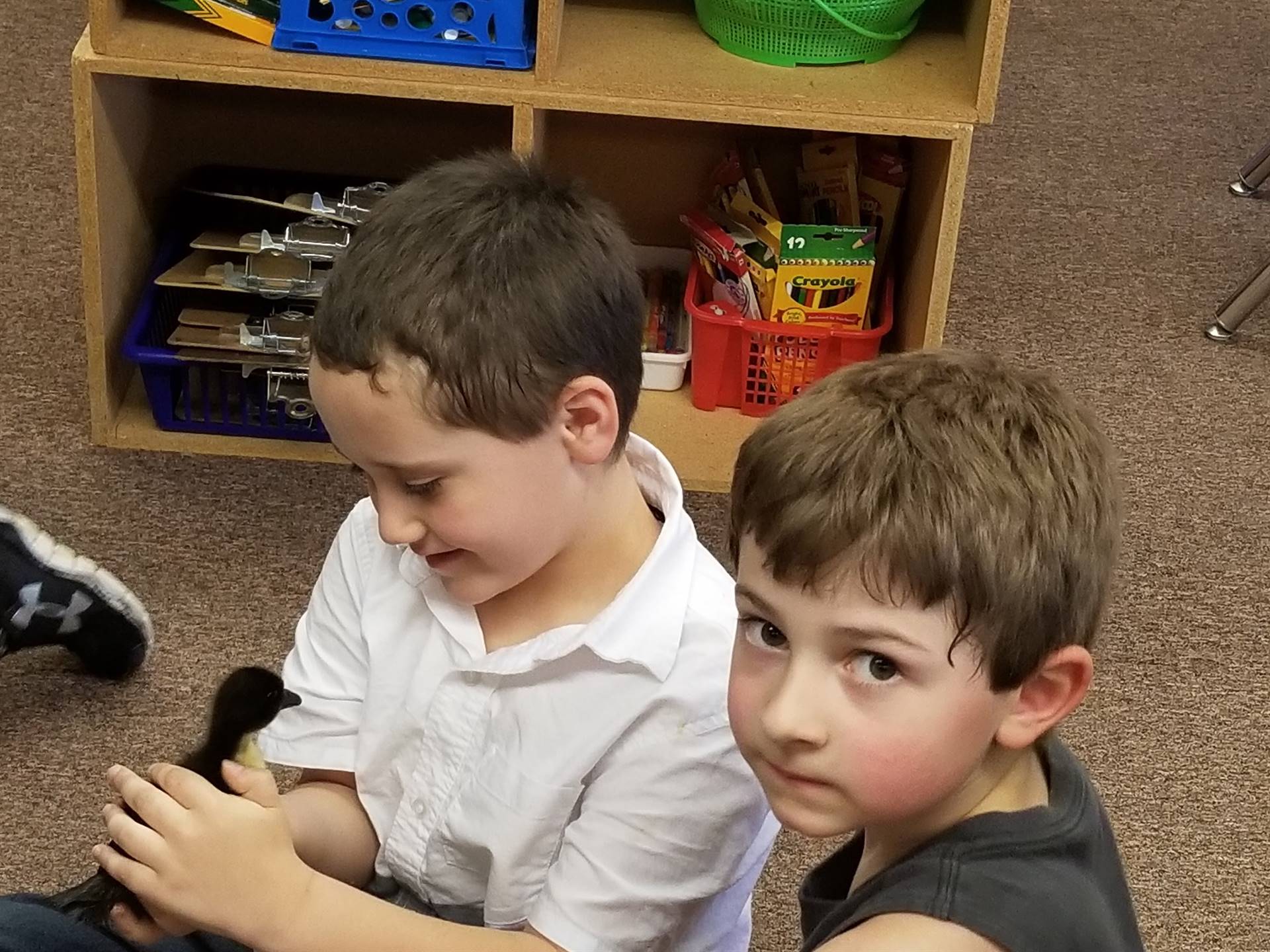 first grader holds a duckling while another student watches.