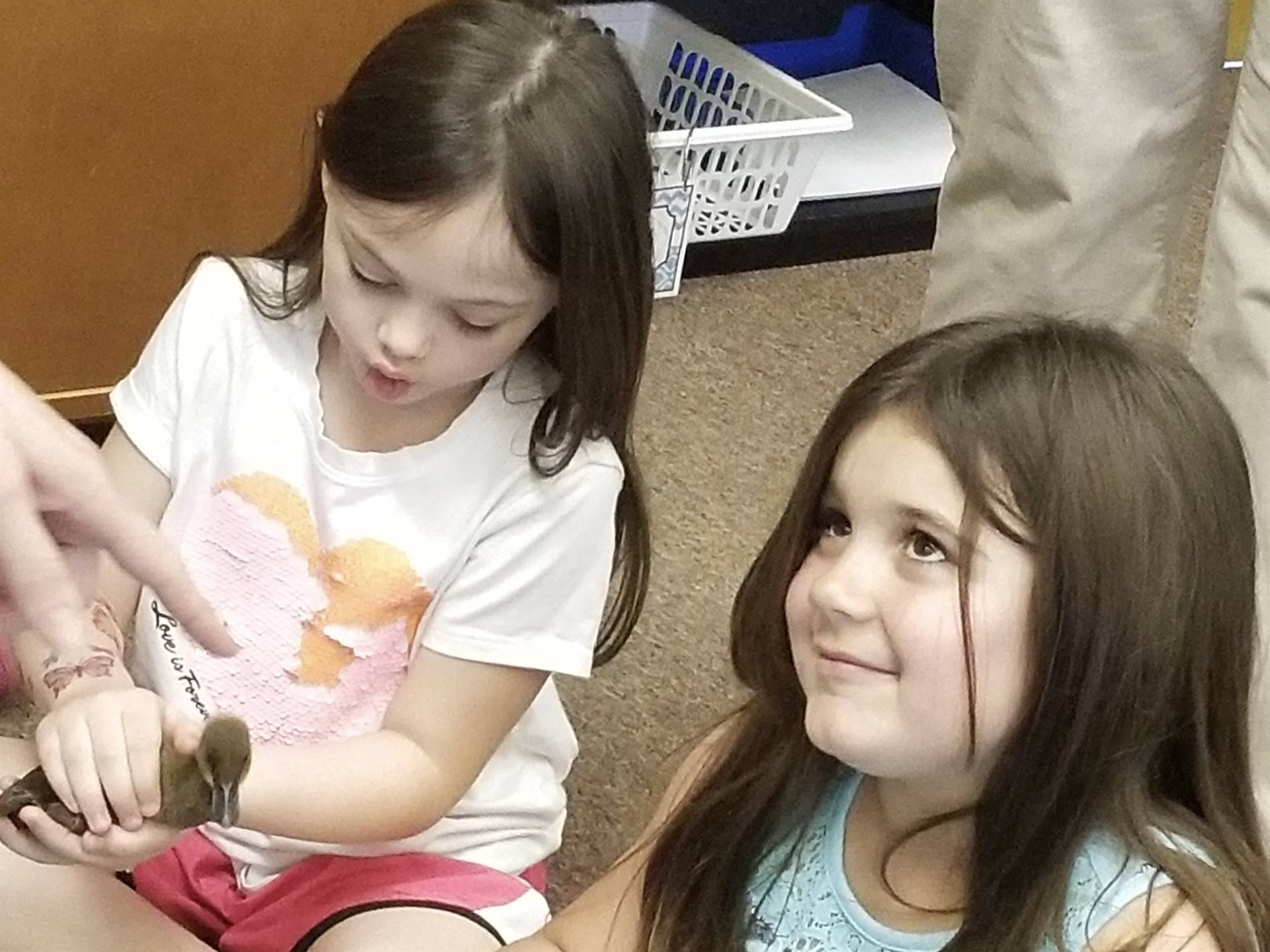 first grader holds a duckling.