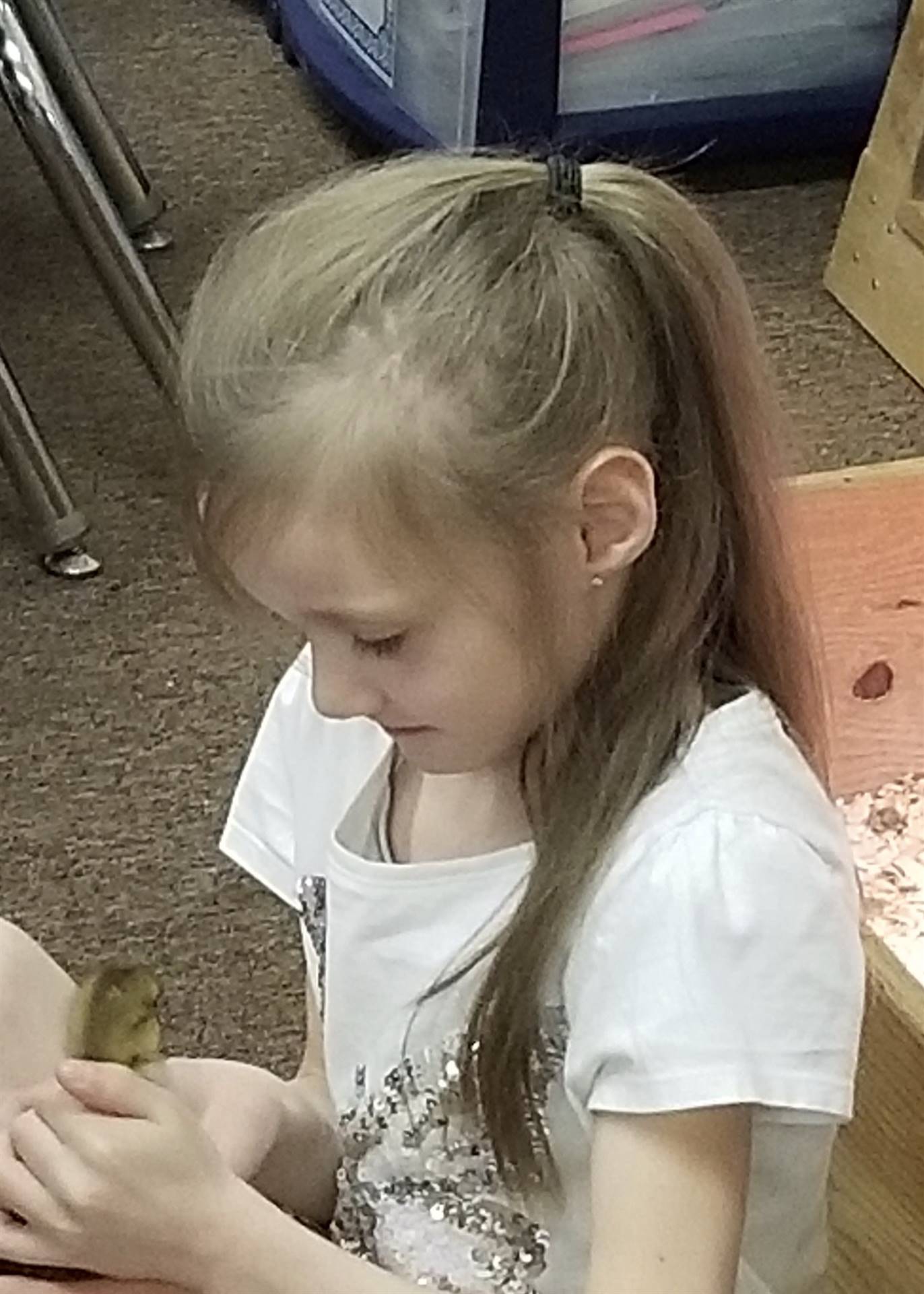 first grader holds a duckling.