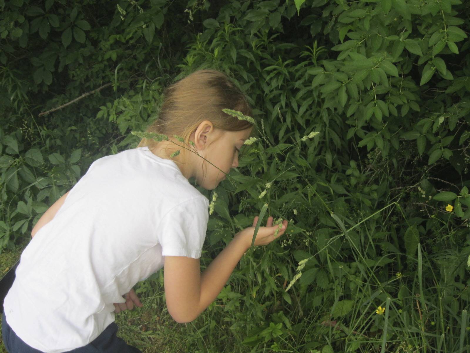 student discovers a flower