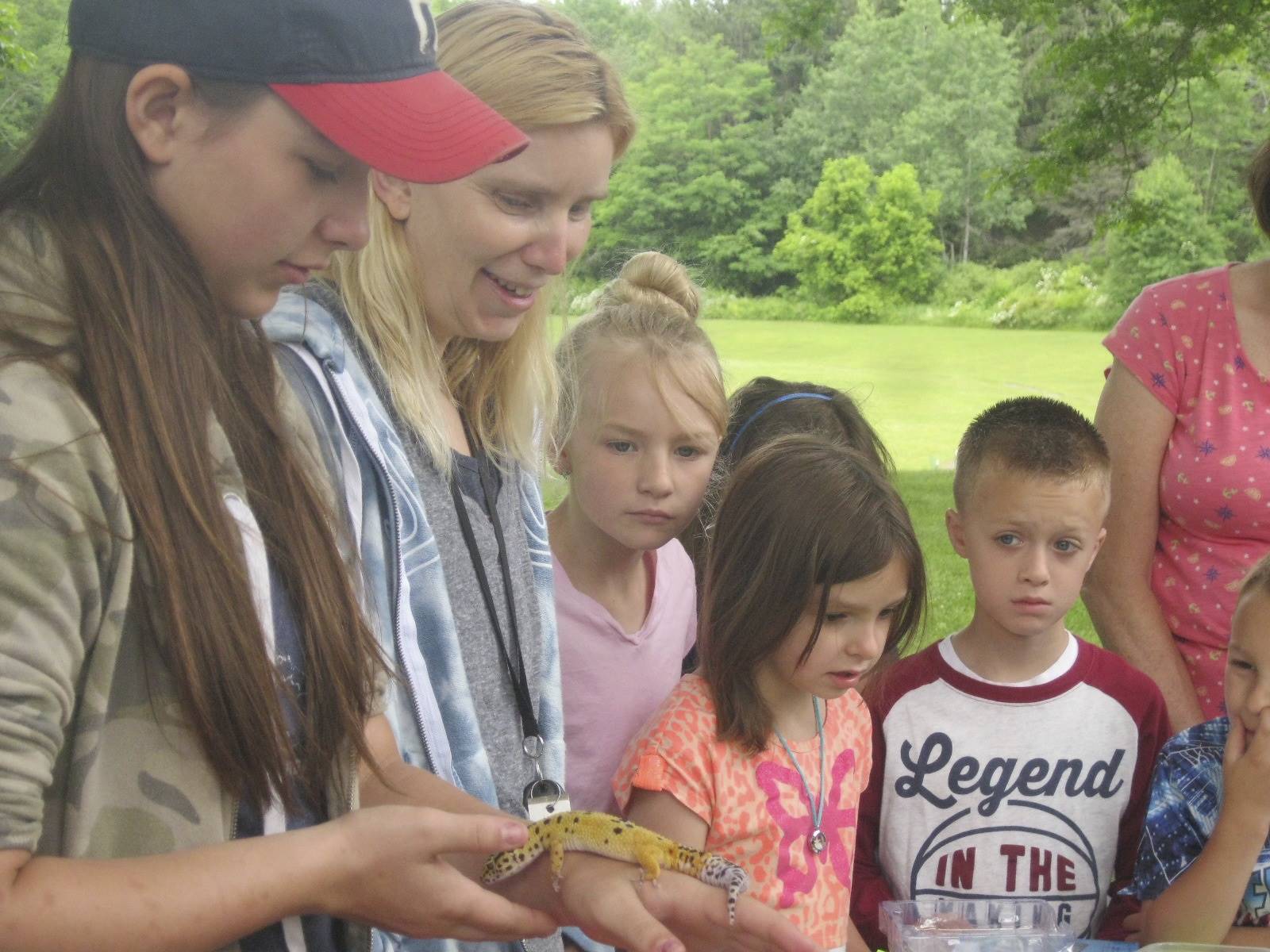 students learn about a lizard.