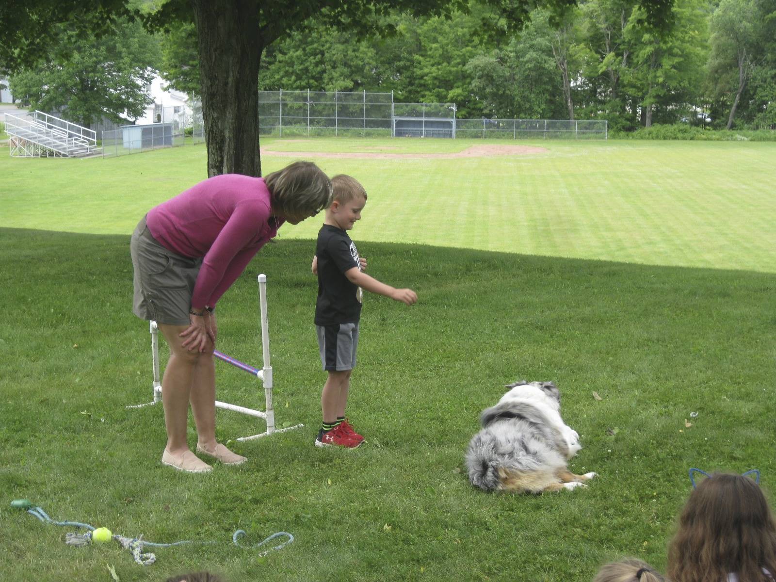 an adult and therapy dog work with student