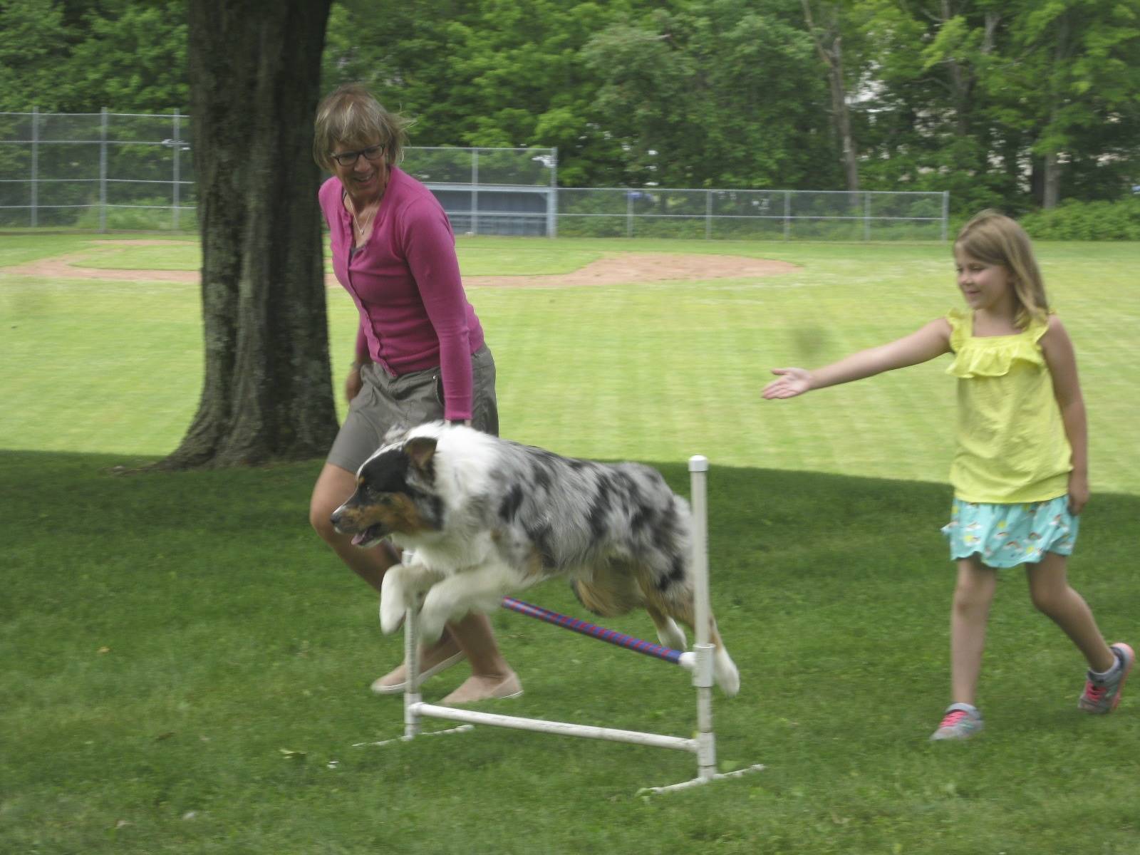 A student and therapy dog work together.