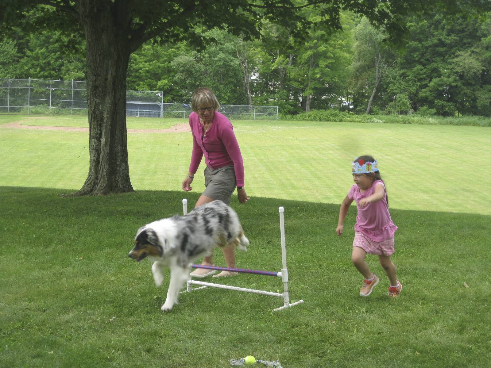 A student and therapy dog work together.