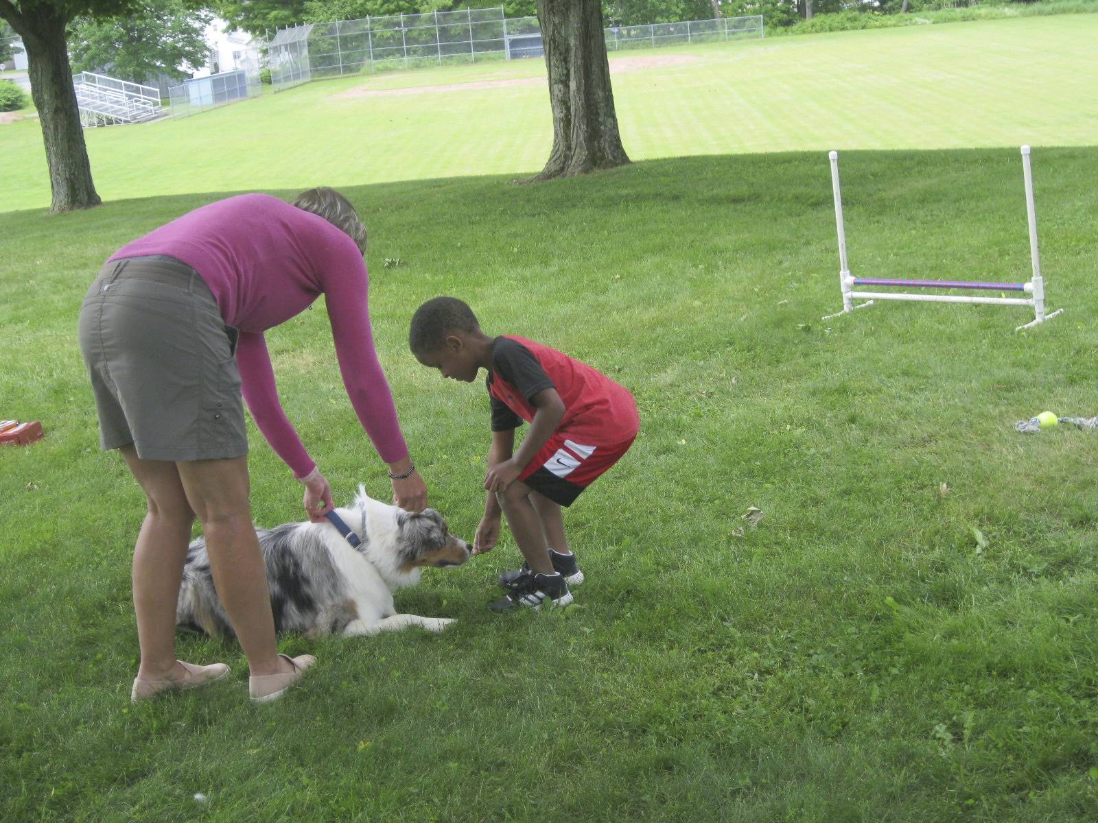 A student and therapy dog work together.