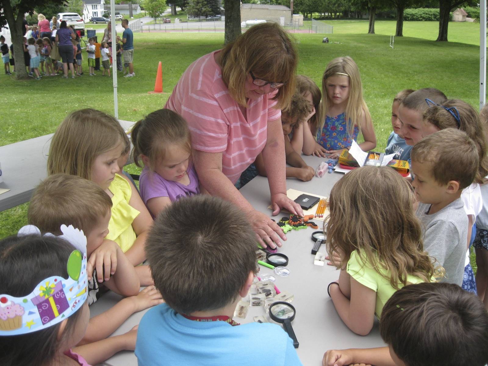 students learn how to draw and look at bugs.