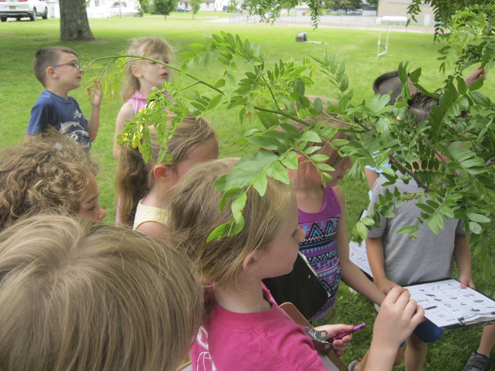 Students on a nature walk explore plants