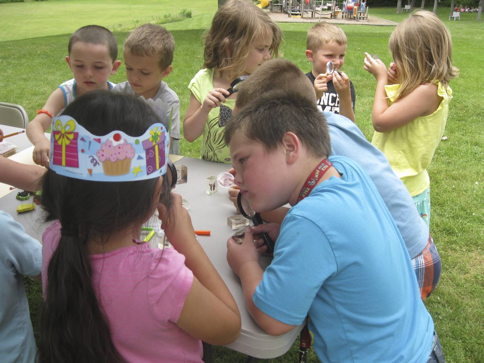 Students play with bugs.