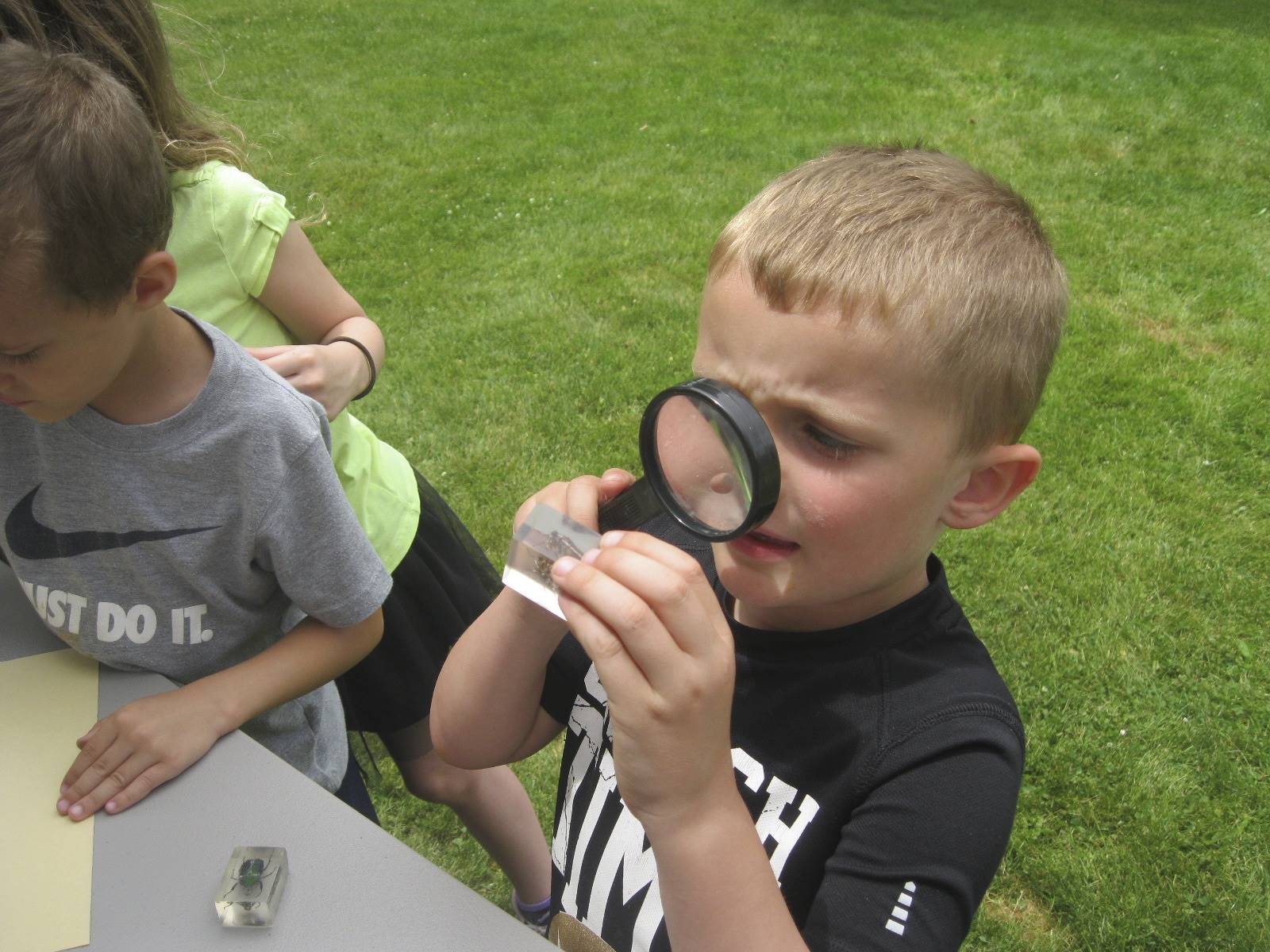 student uses magnifying glass to look at bugs.