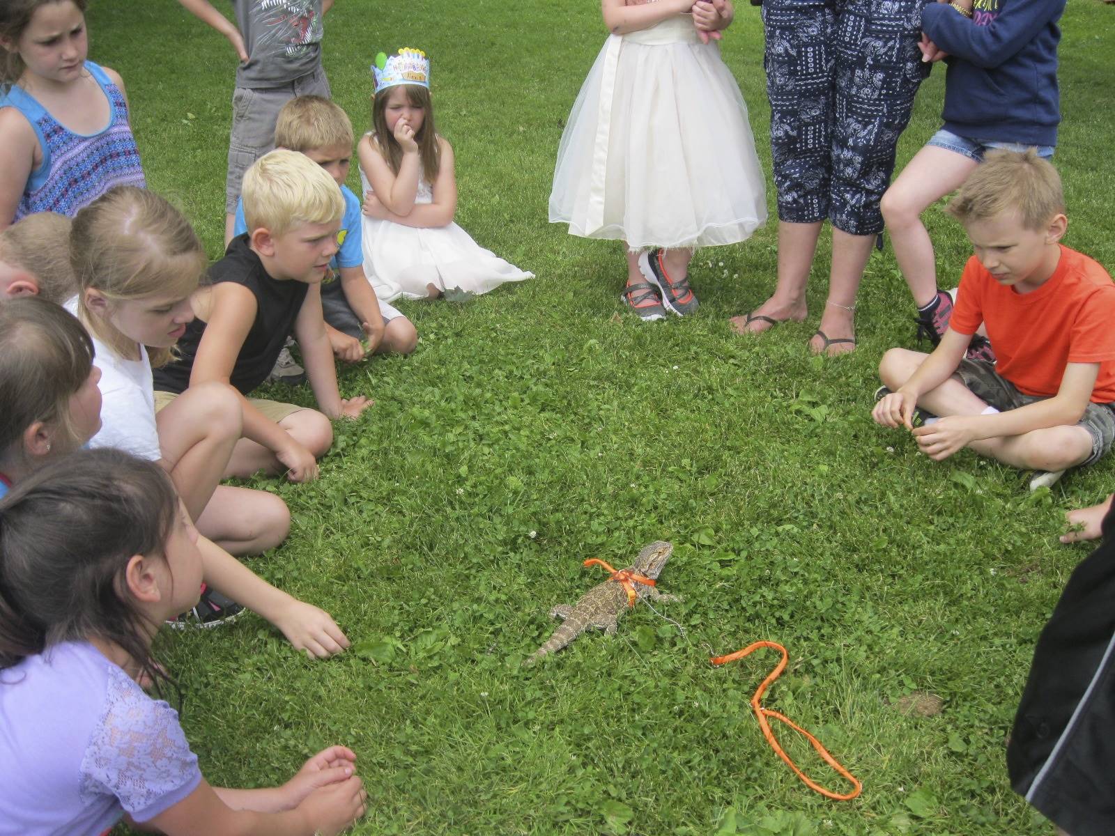 students watch a creature.