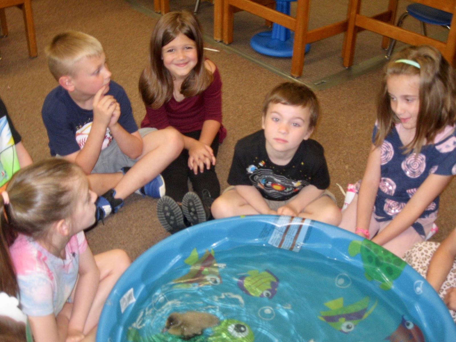 5 students watch ducks swim in a pool.