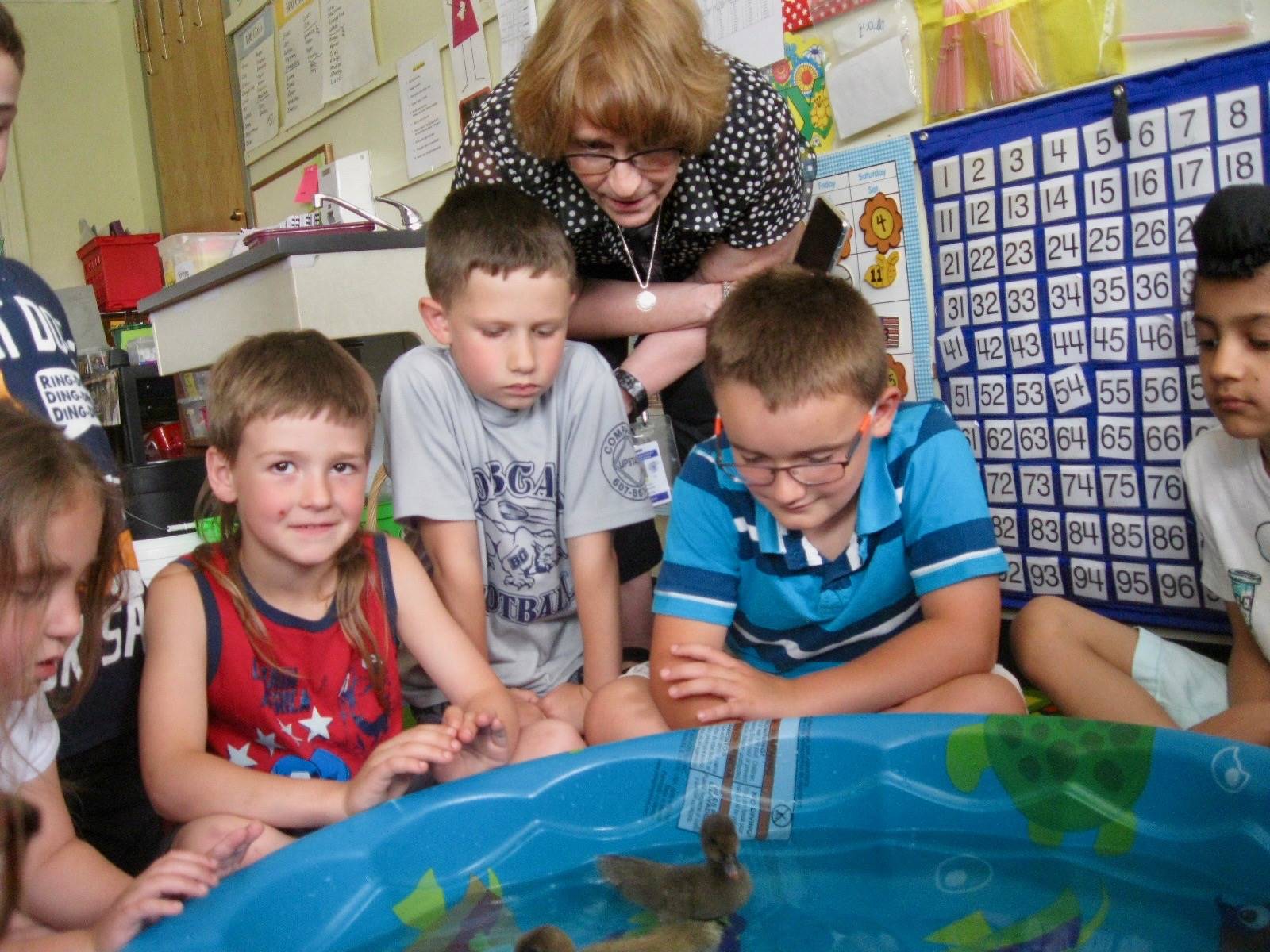 4 Students and a teacher watch ducks swim in a pool.