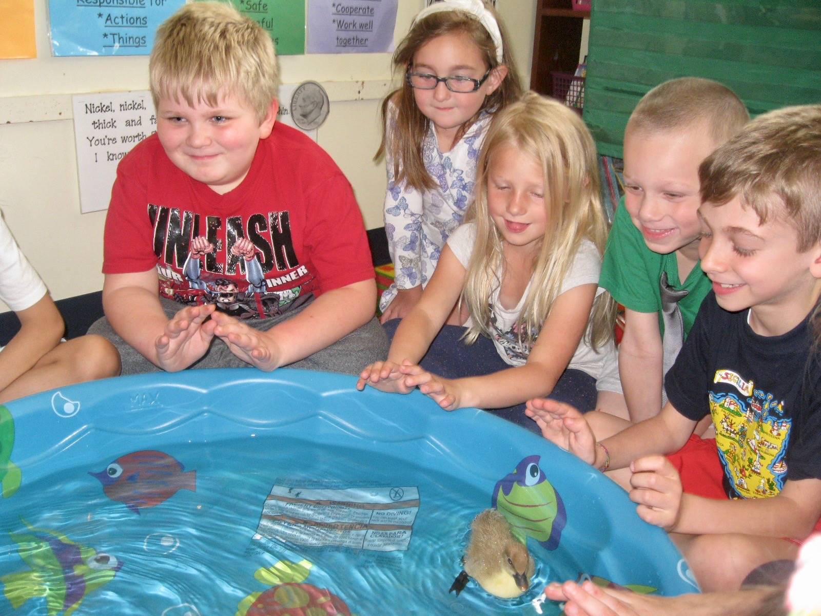 5 students watch ducks swim in a pool.