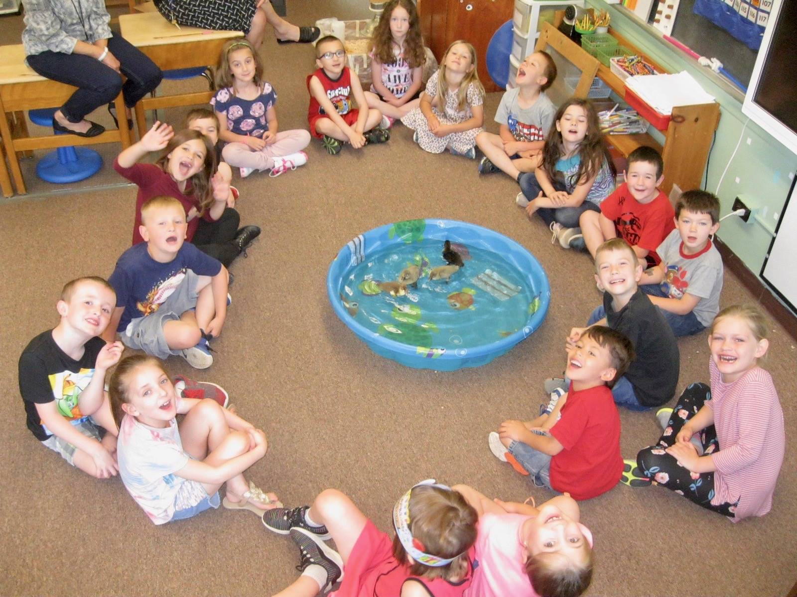 A class watches ducks swim in a pool.