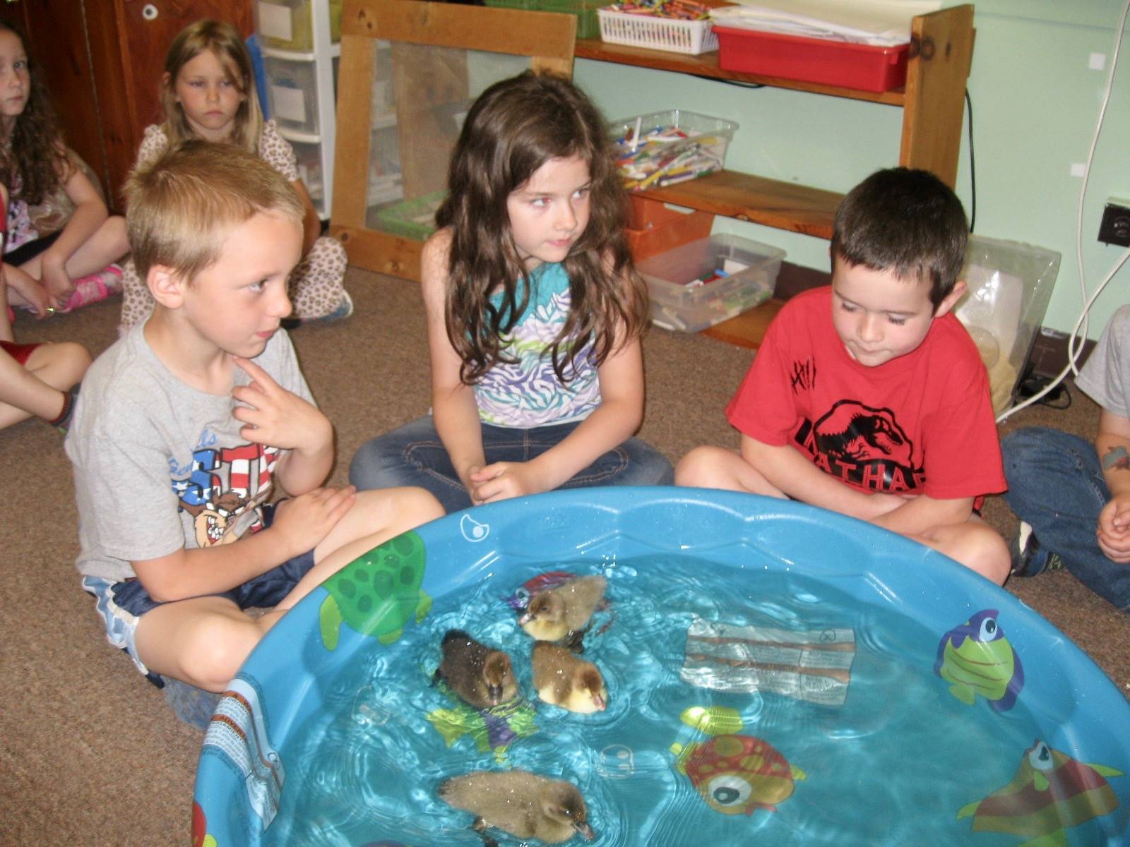 3 students  watch ducks swim in a pool.