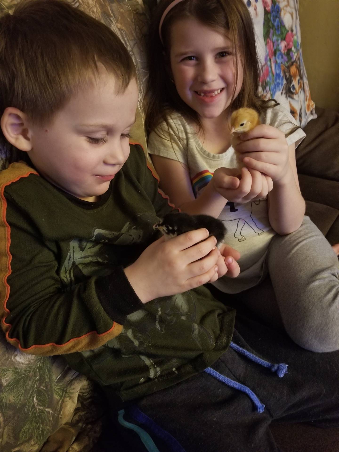 A student and sibling with baby chicks.