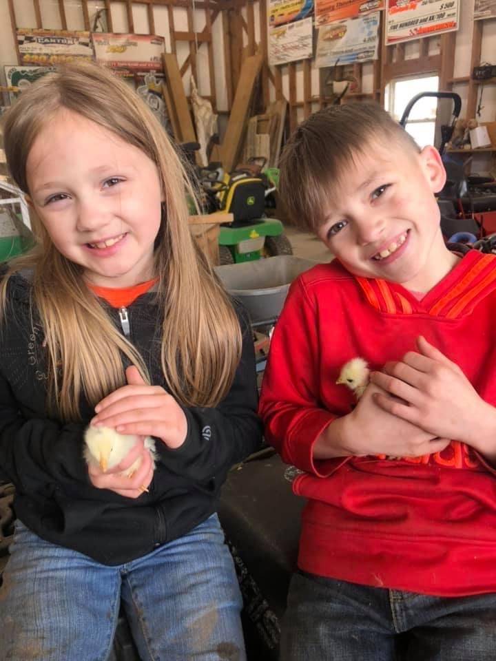 Siblings holding chicks