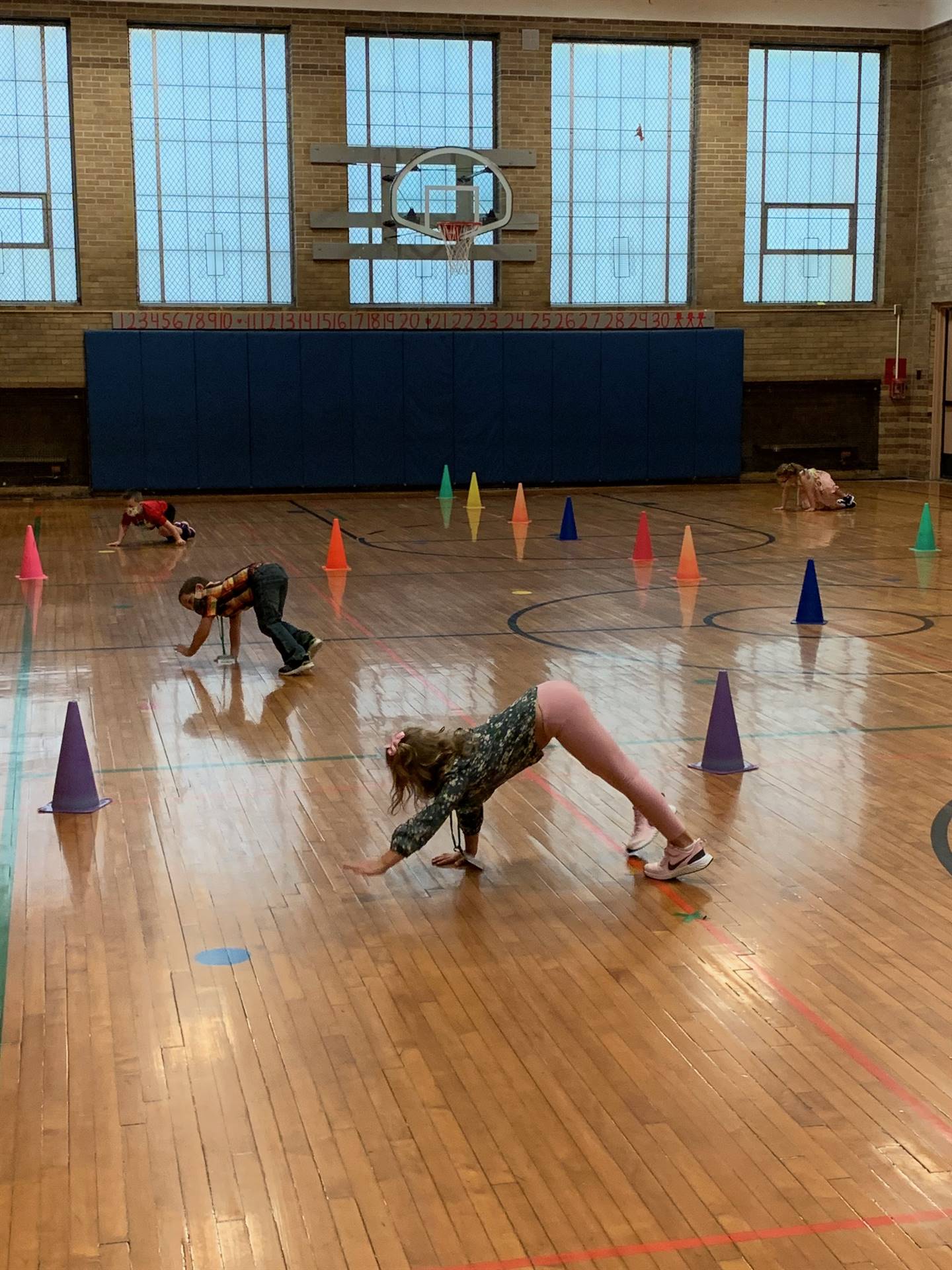 Students bear walk in the gym