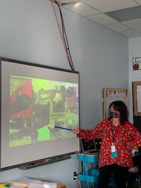 An adult using pointer on smartboard with a picture of an animal