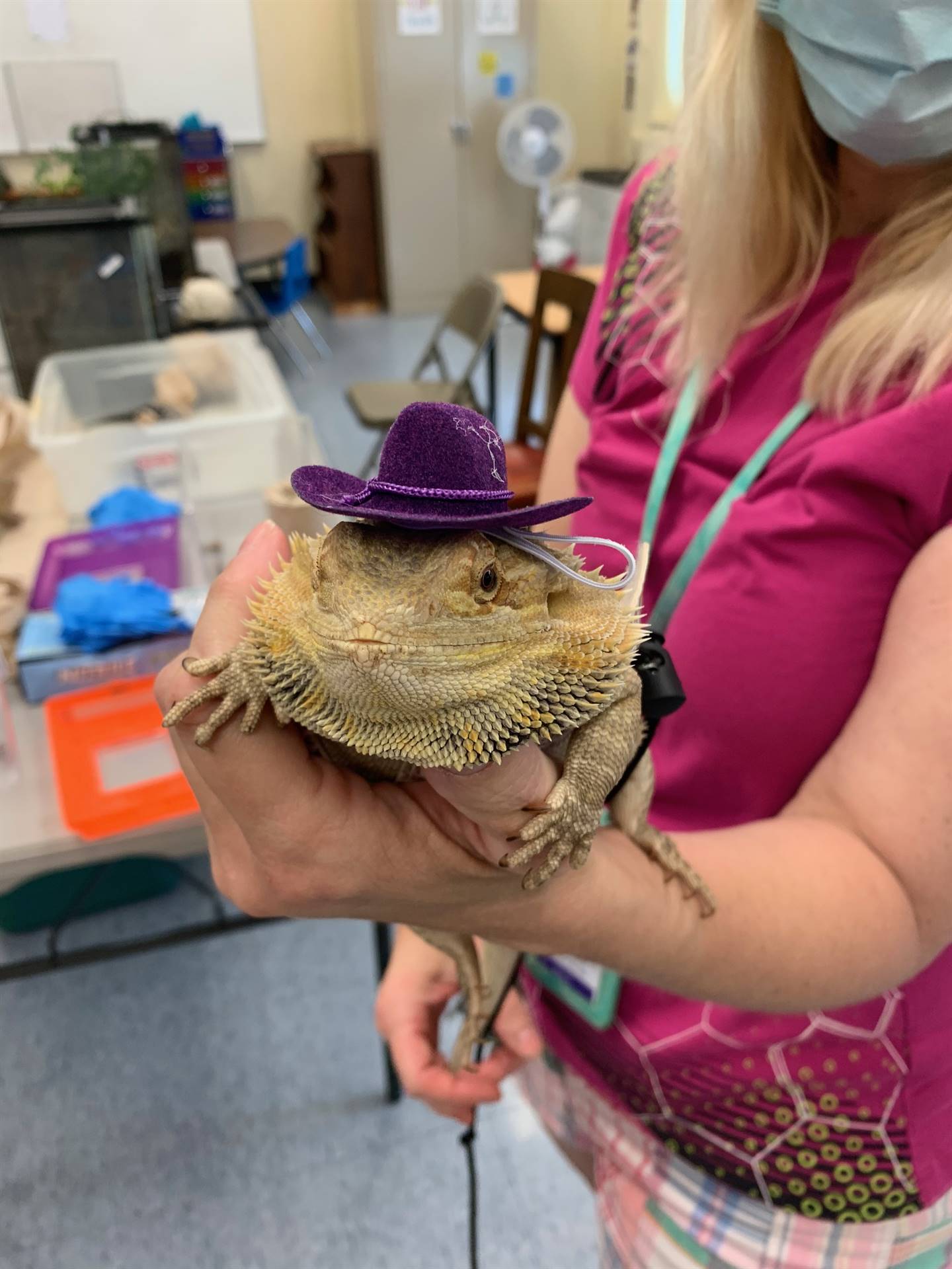 a teacher holds a reptile with a cowboy hat on head.