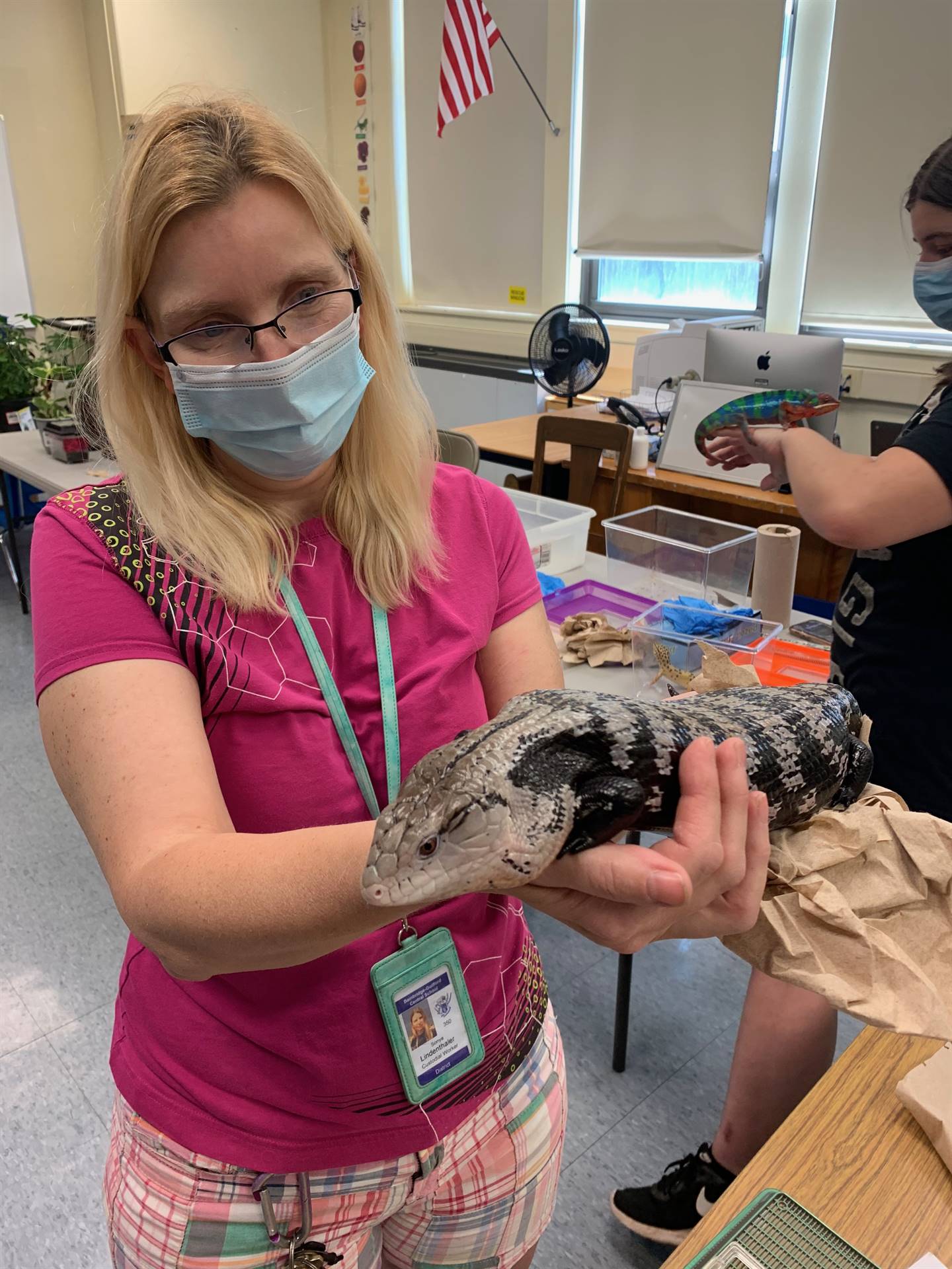 a teacher holds a blue tongued skink