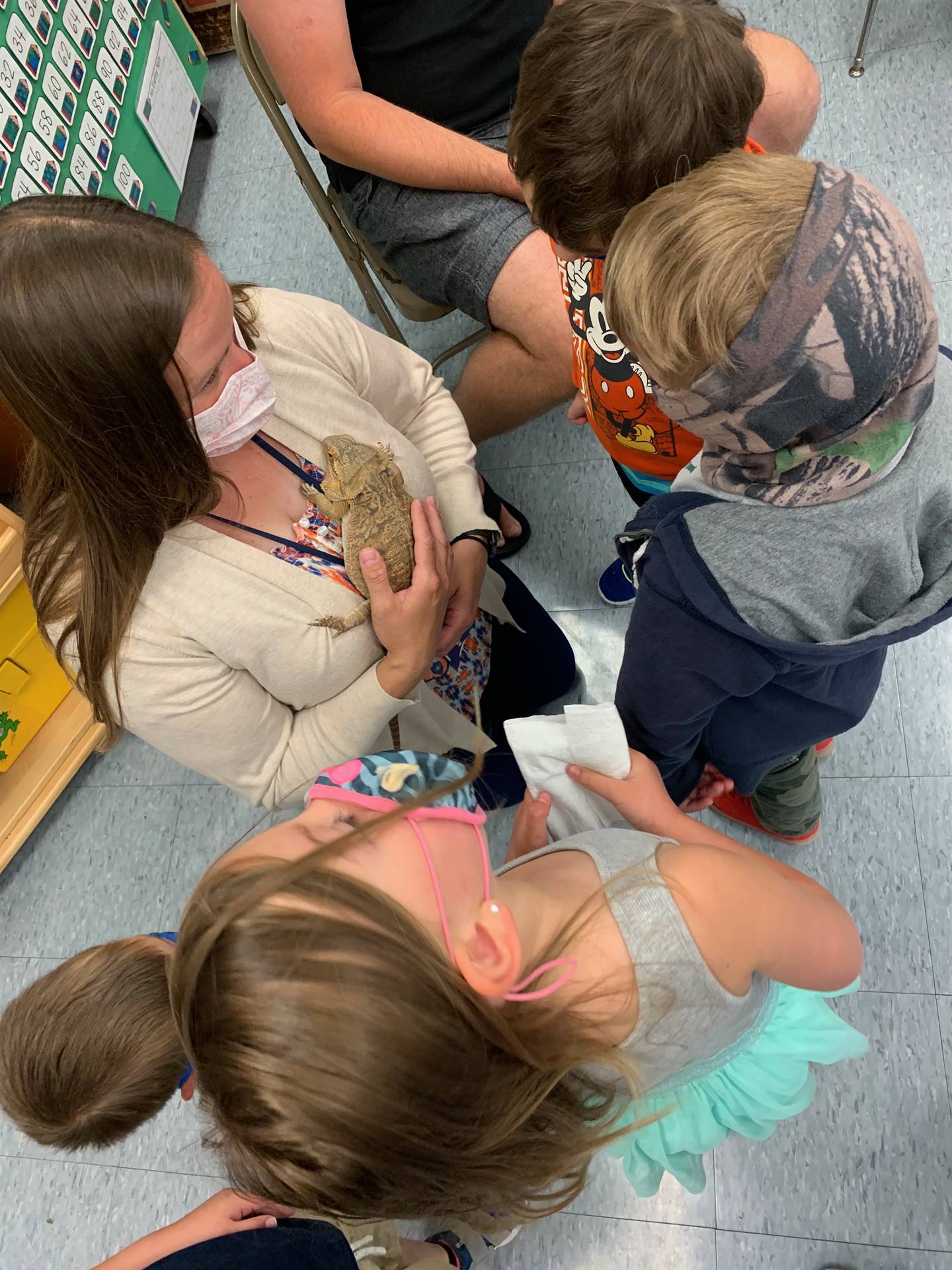 students look at a lizard