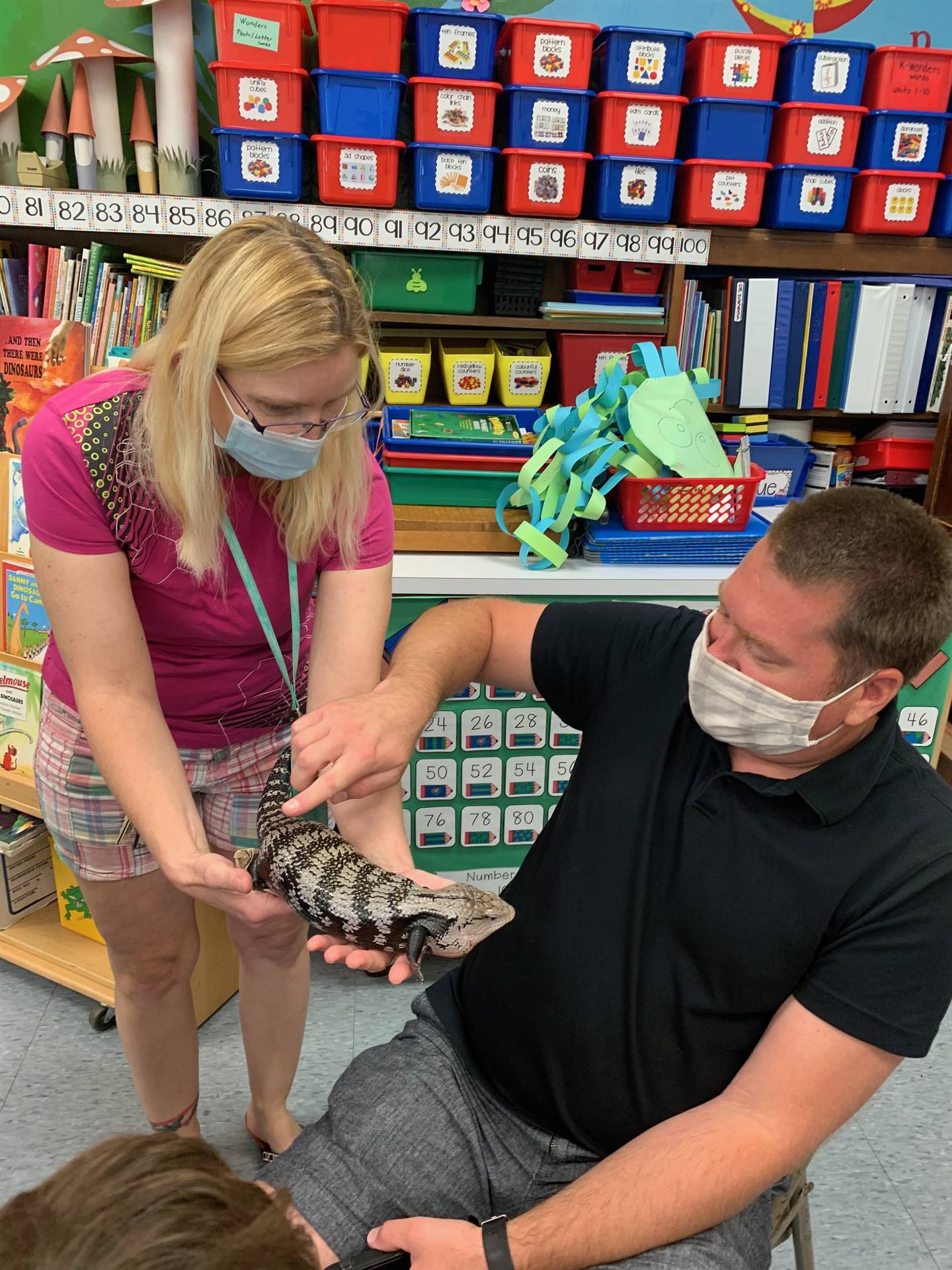 a teacher pets a skink