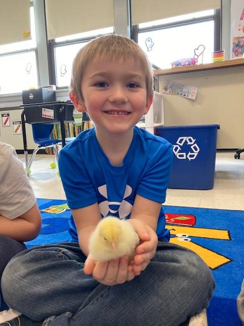 a student holding a chick.