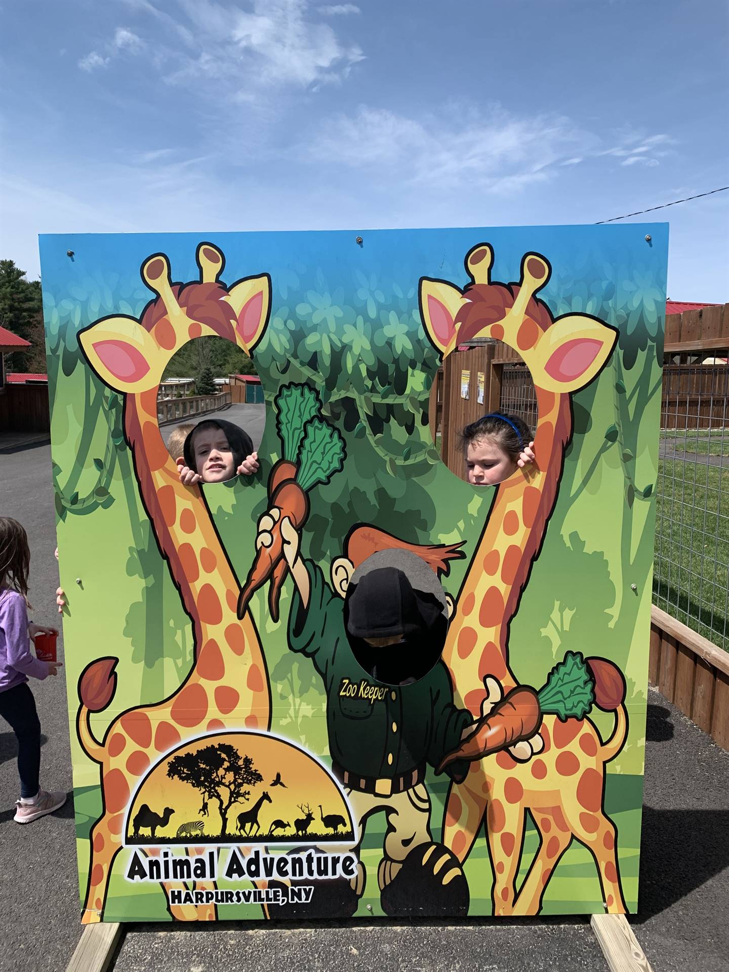 students poking heads through a giraffe board