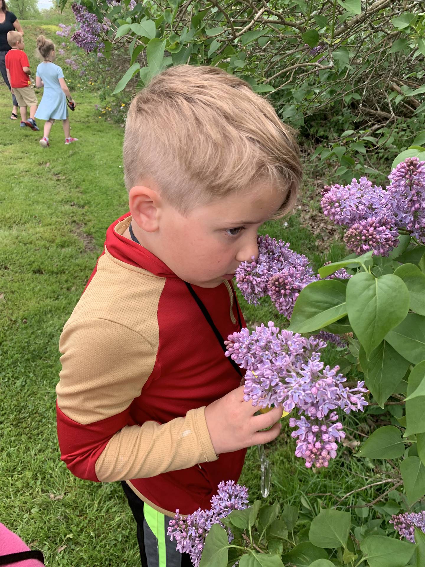 child outdoors smelling lilac 