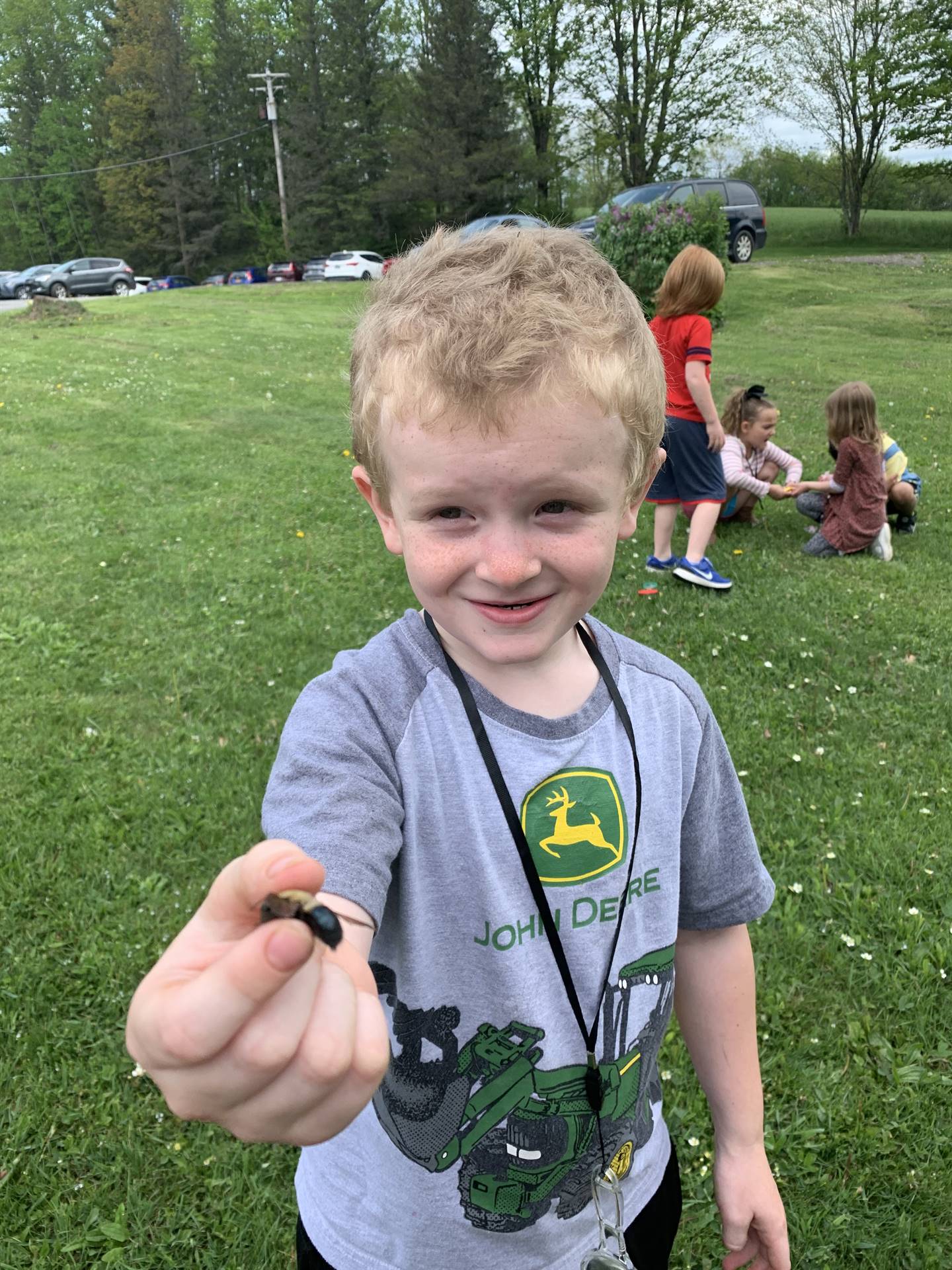 child holding a dead bee find.