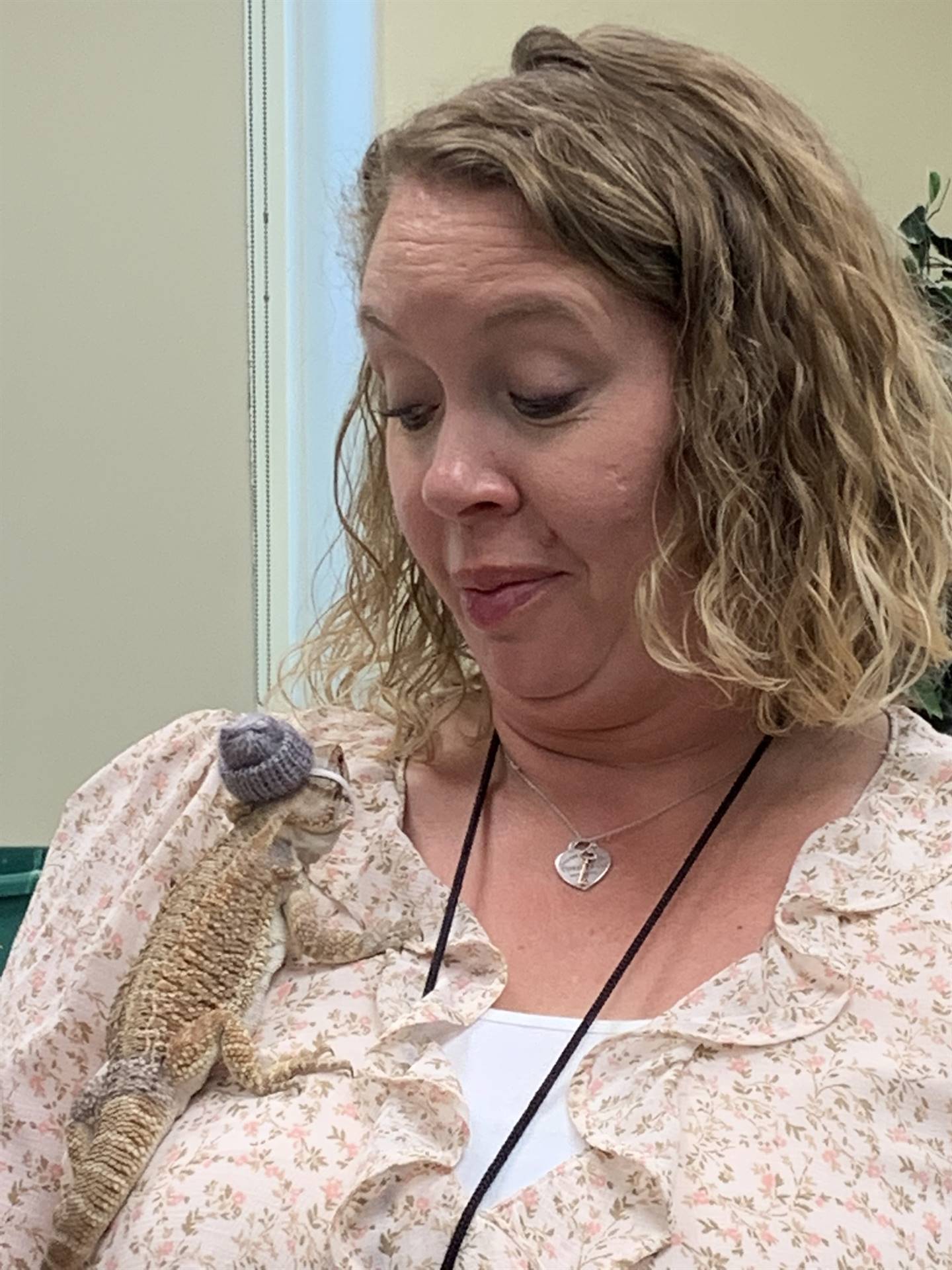 a adult with a reptile