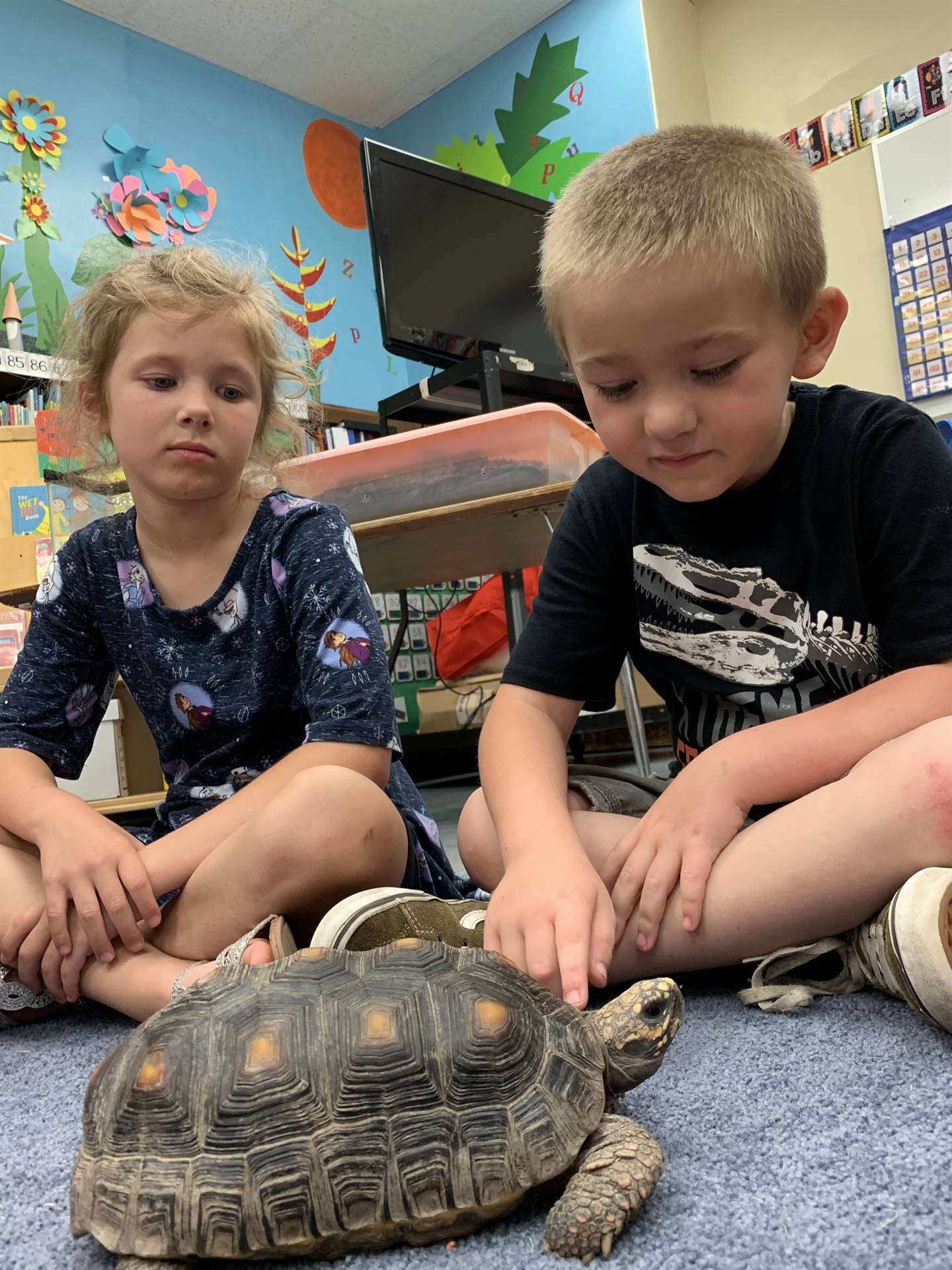 students with tortoise
